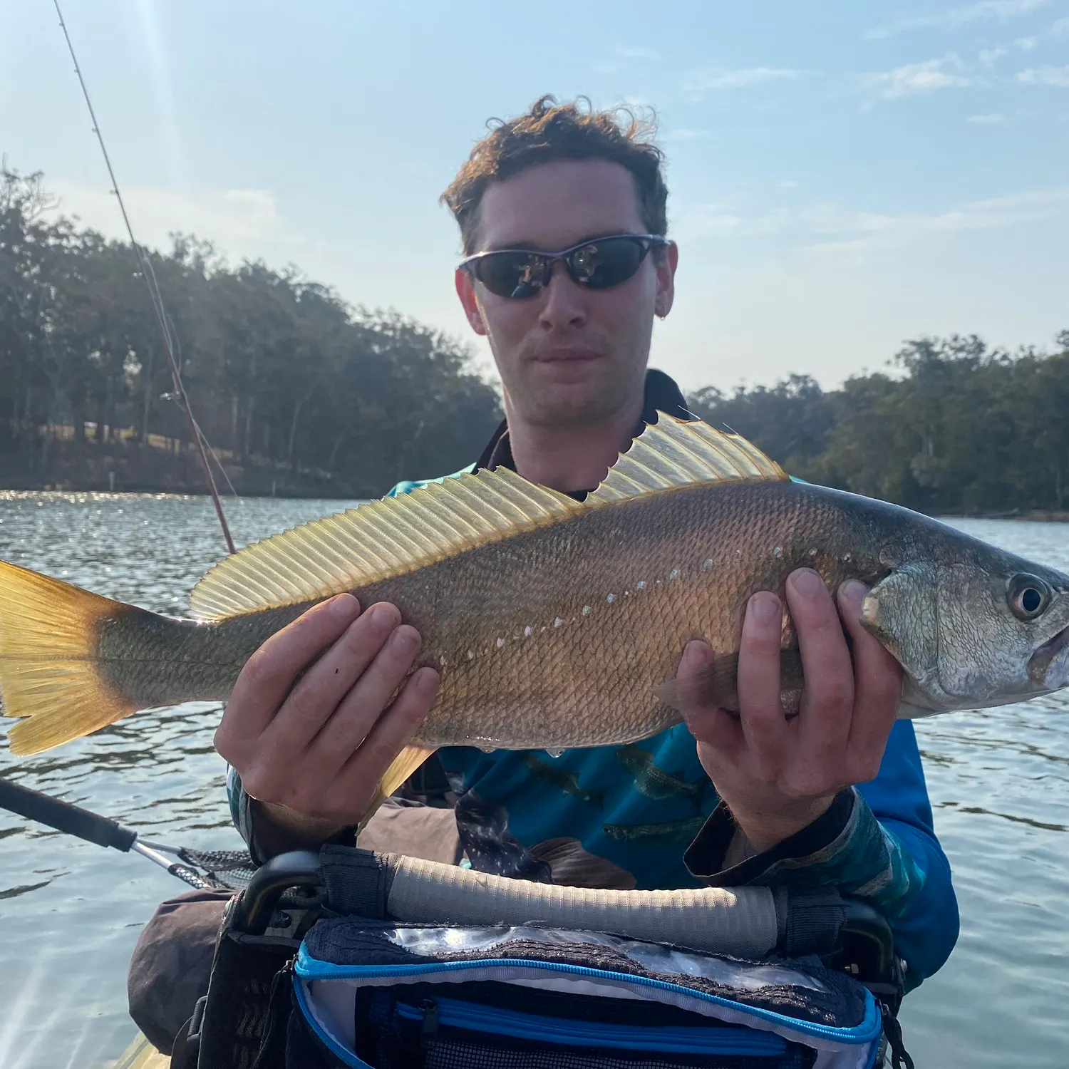 The most recent Japanese meagre catches on Fishbrain