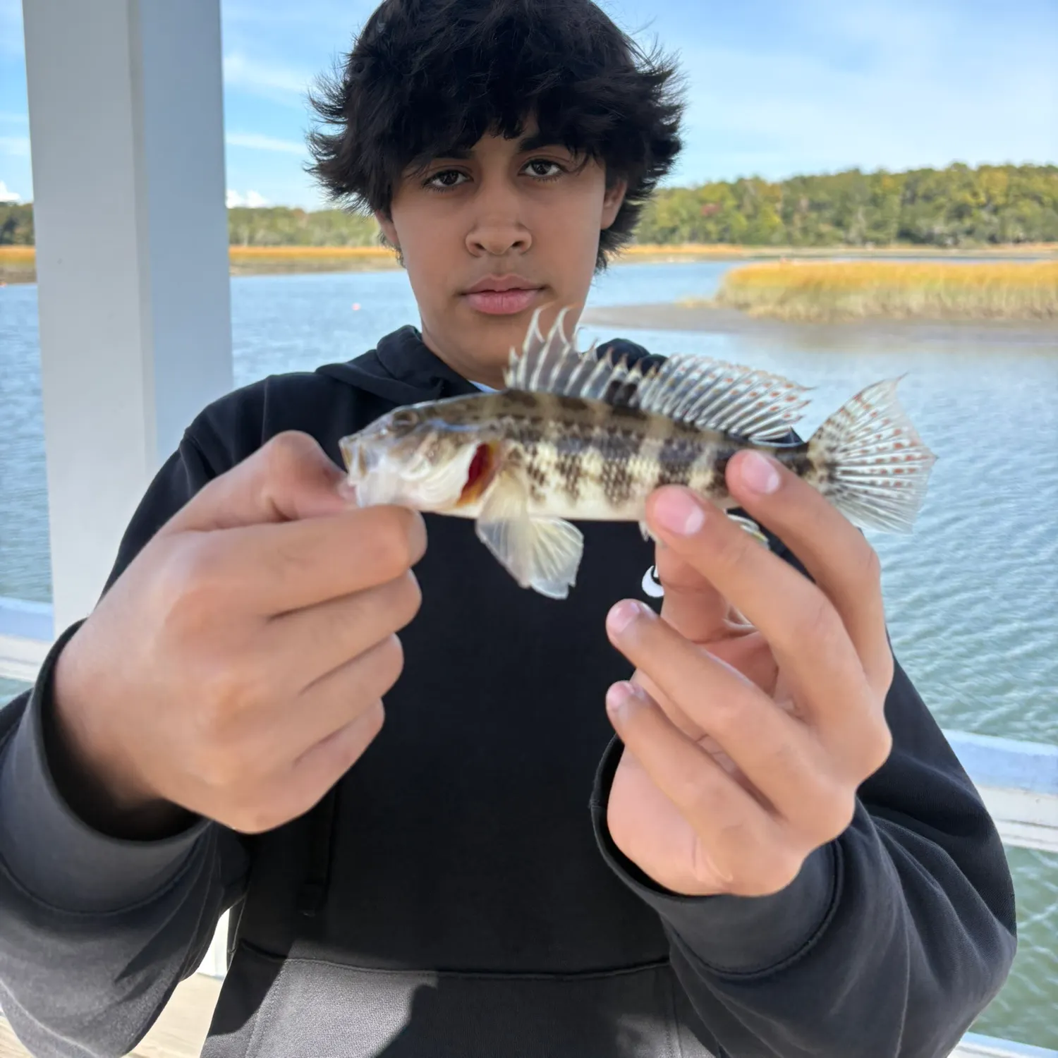 The most recent Rock sea bass catches on Fishbrain