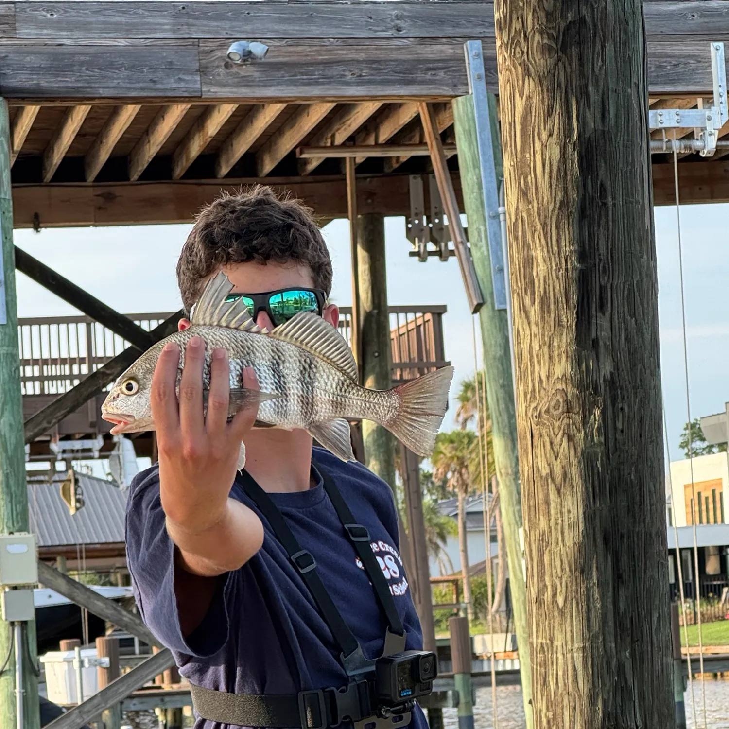 The most recent Black drum catches on Fishbrain