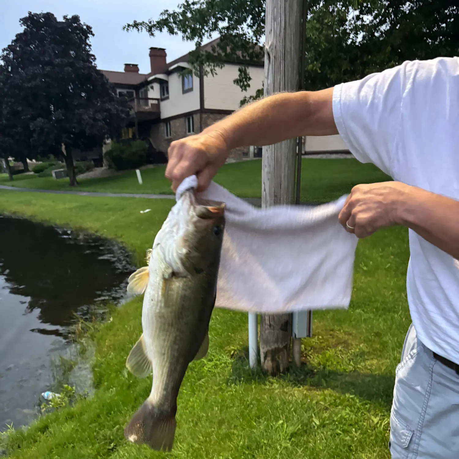 Fish caught on Fishbrain