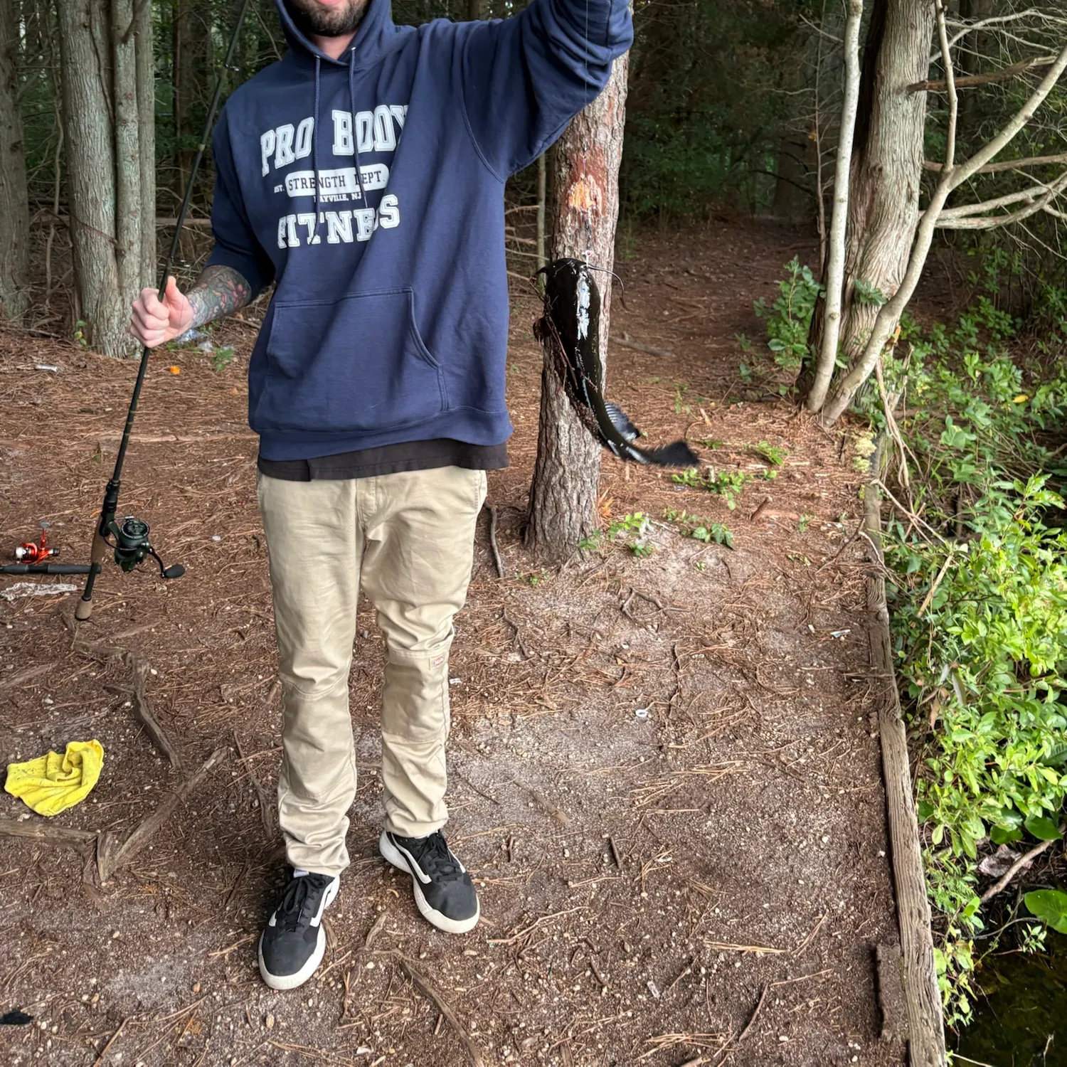 Black bullhead caught on Fishbrain