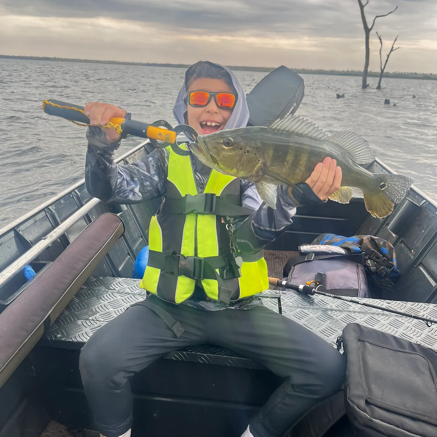 The most recent Blue peacock bass catches on Fishbrain