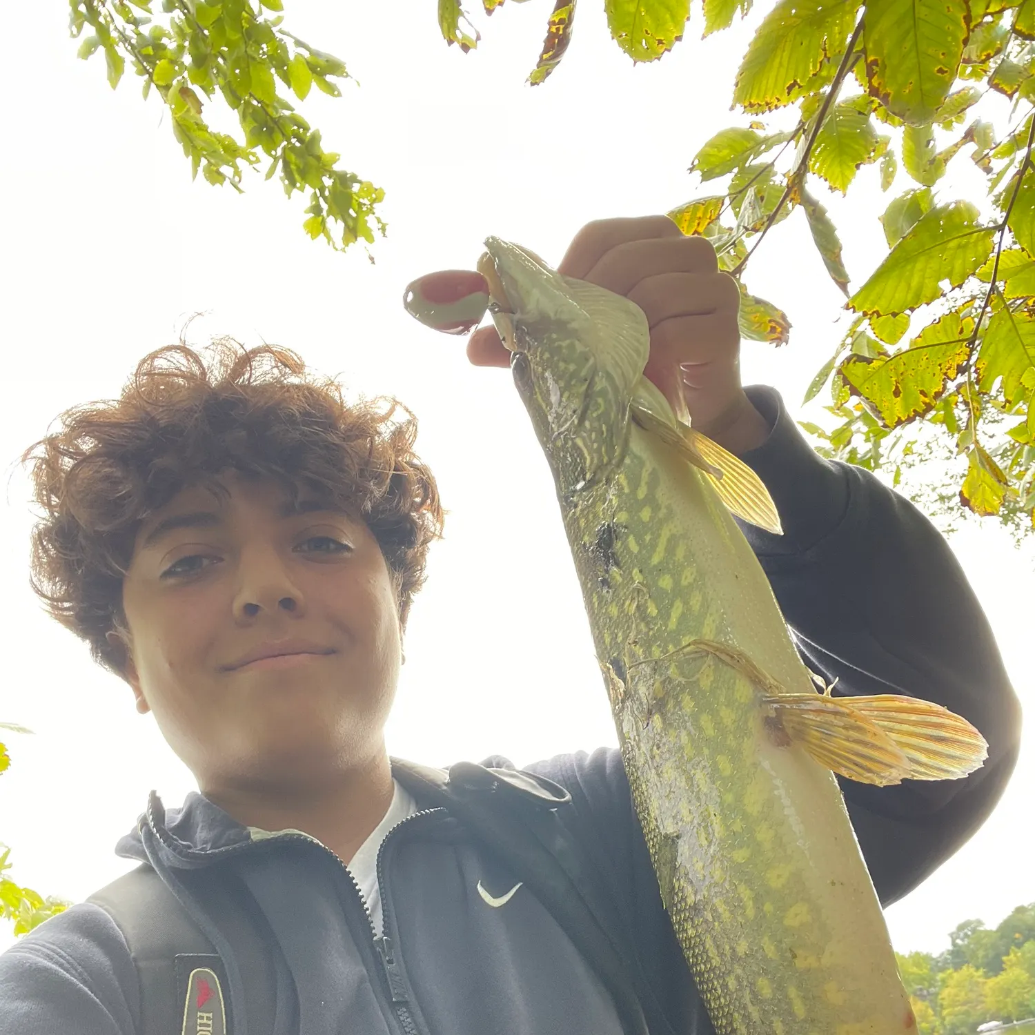 Northern pike caught on Fishbrain