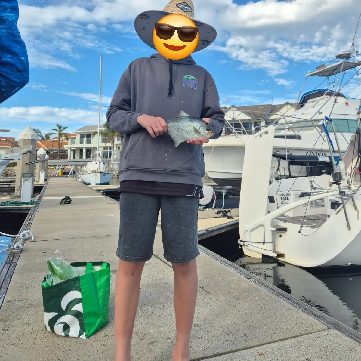 The most recent Sea sweep catches on Fishbrain