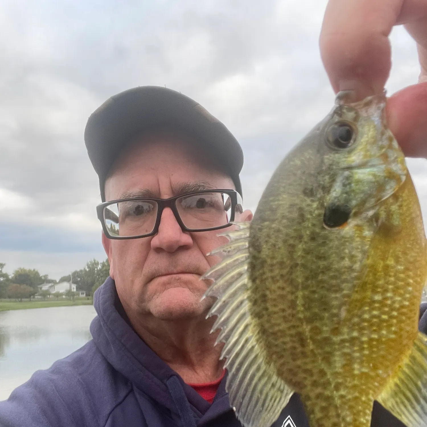 Pumpkinseed caught on Fishbrain