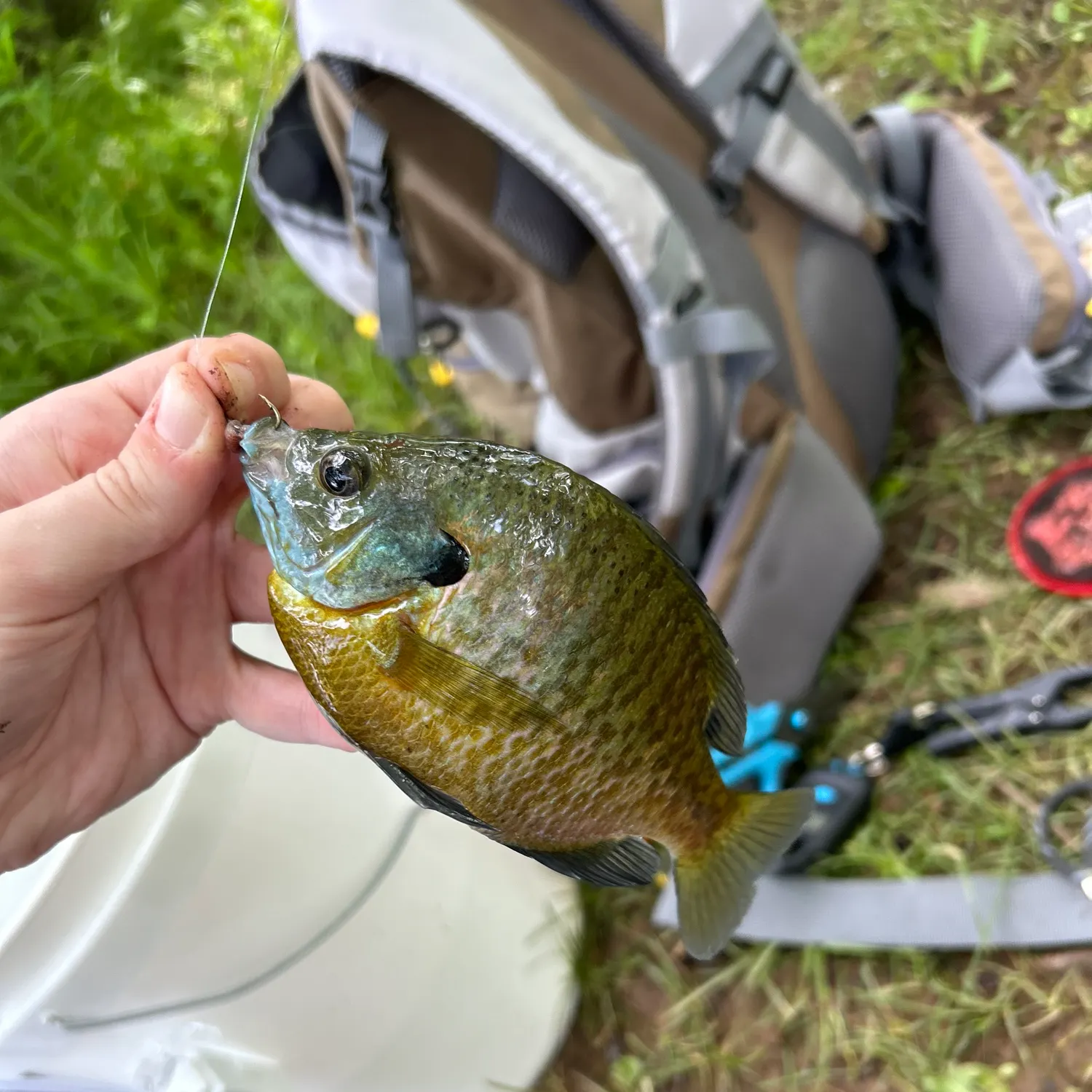 catch