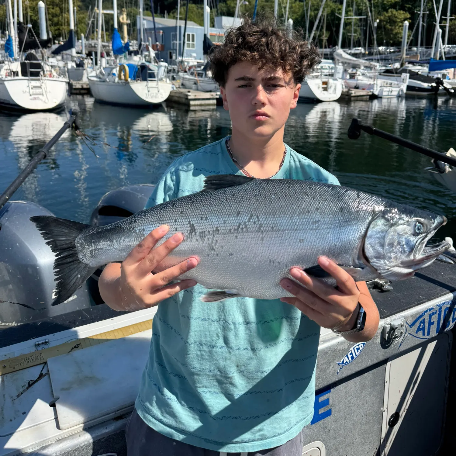 Coho salmon caught on Fishbrain