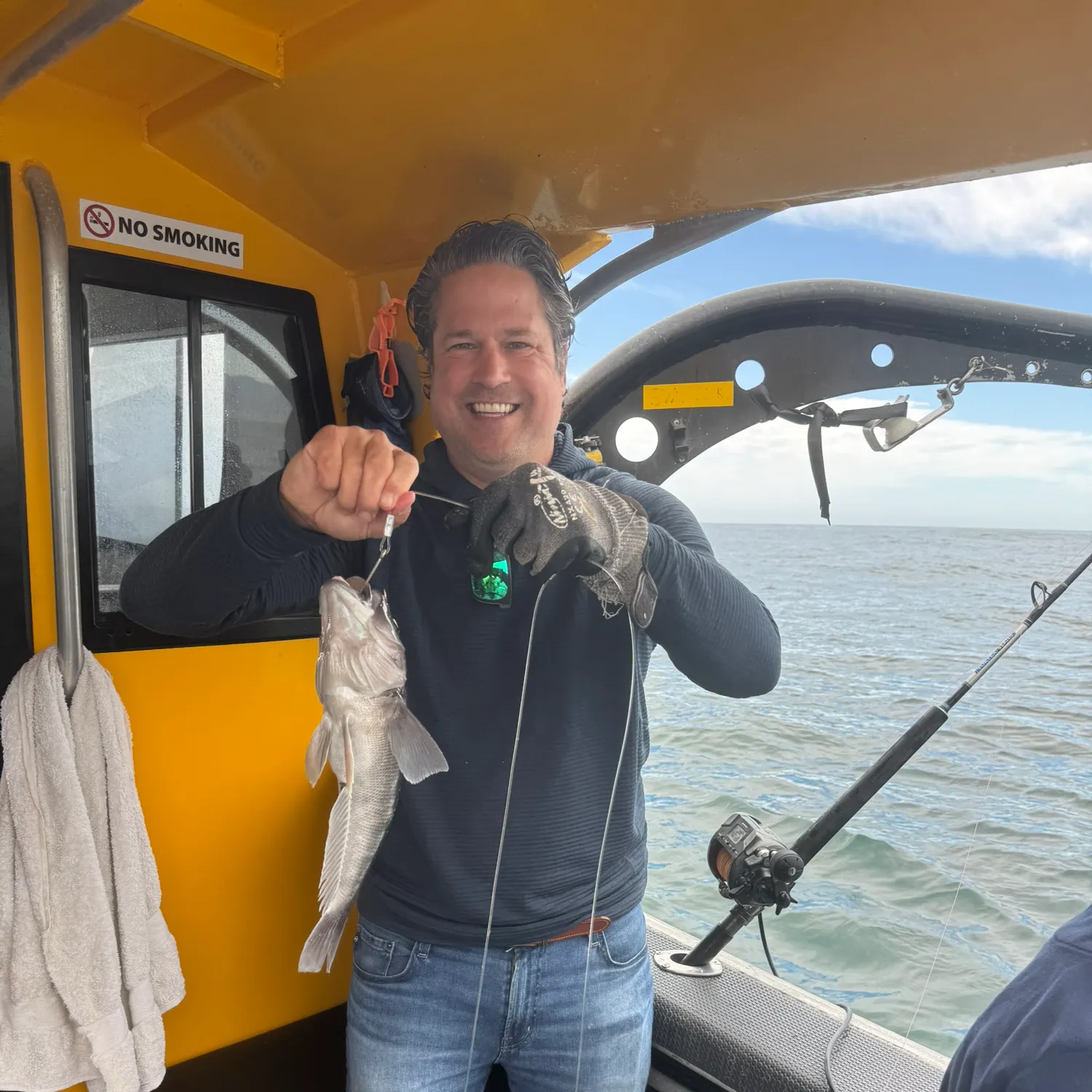 The most recent Blue cod catches on Fishbrain