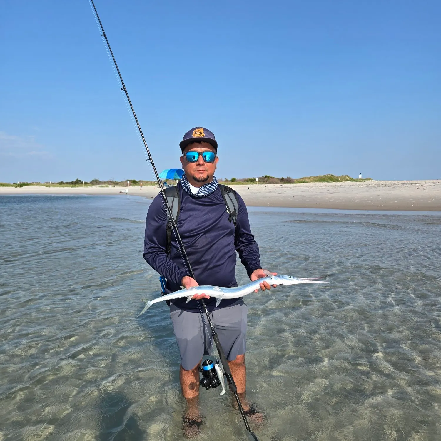The most recent Hound needlefish catches on Fishbrain