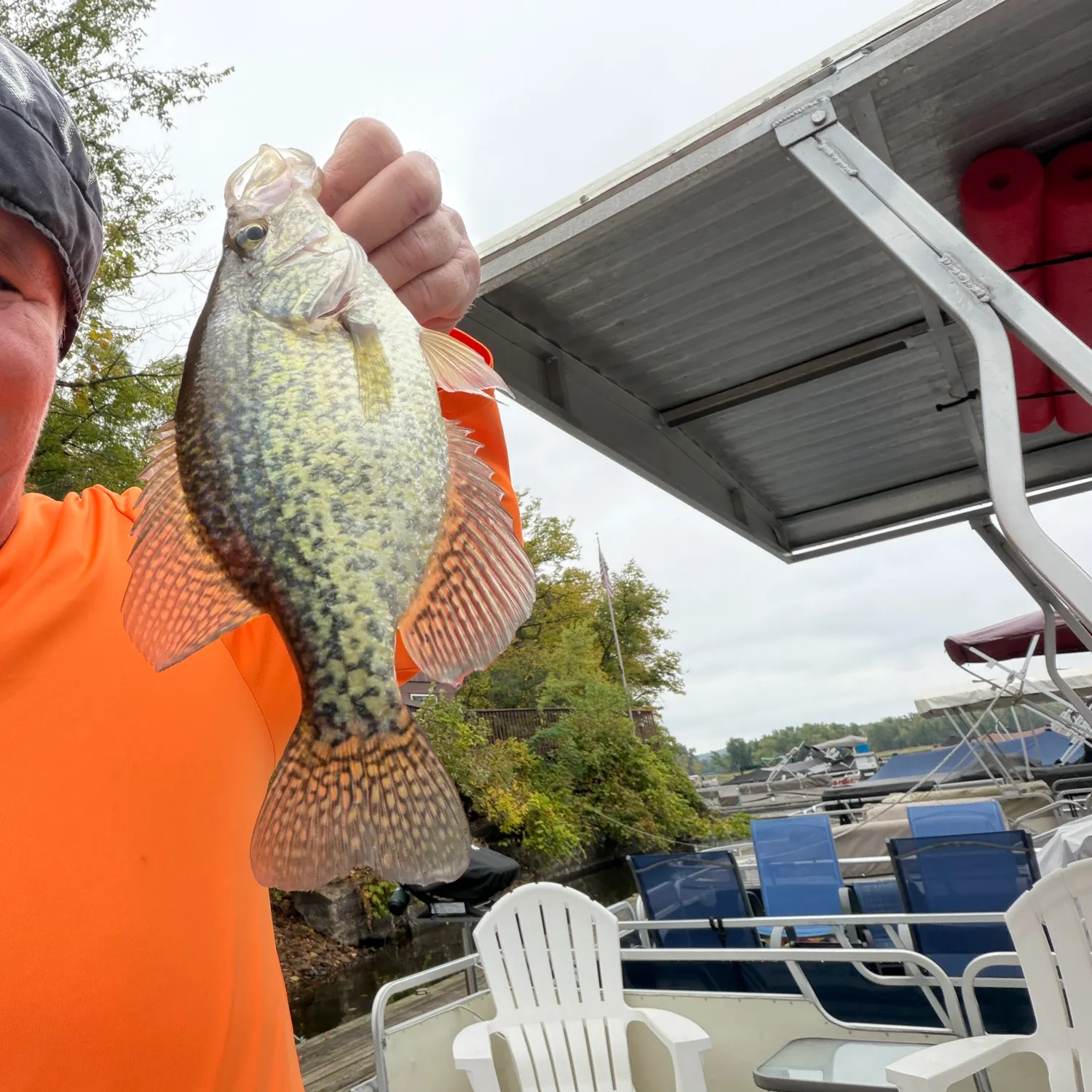 Black crappie caught on Fishbrain