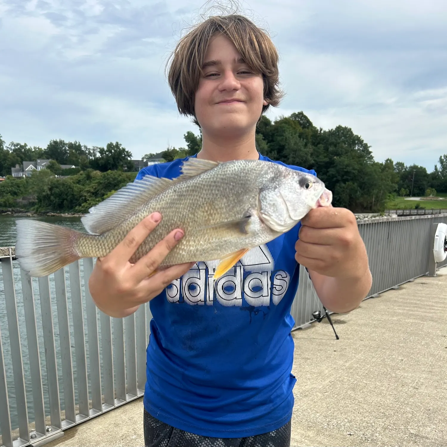 Freshwater drum caught on Fishbrain