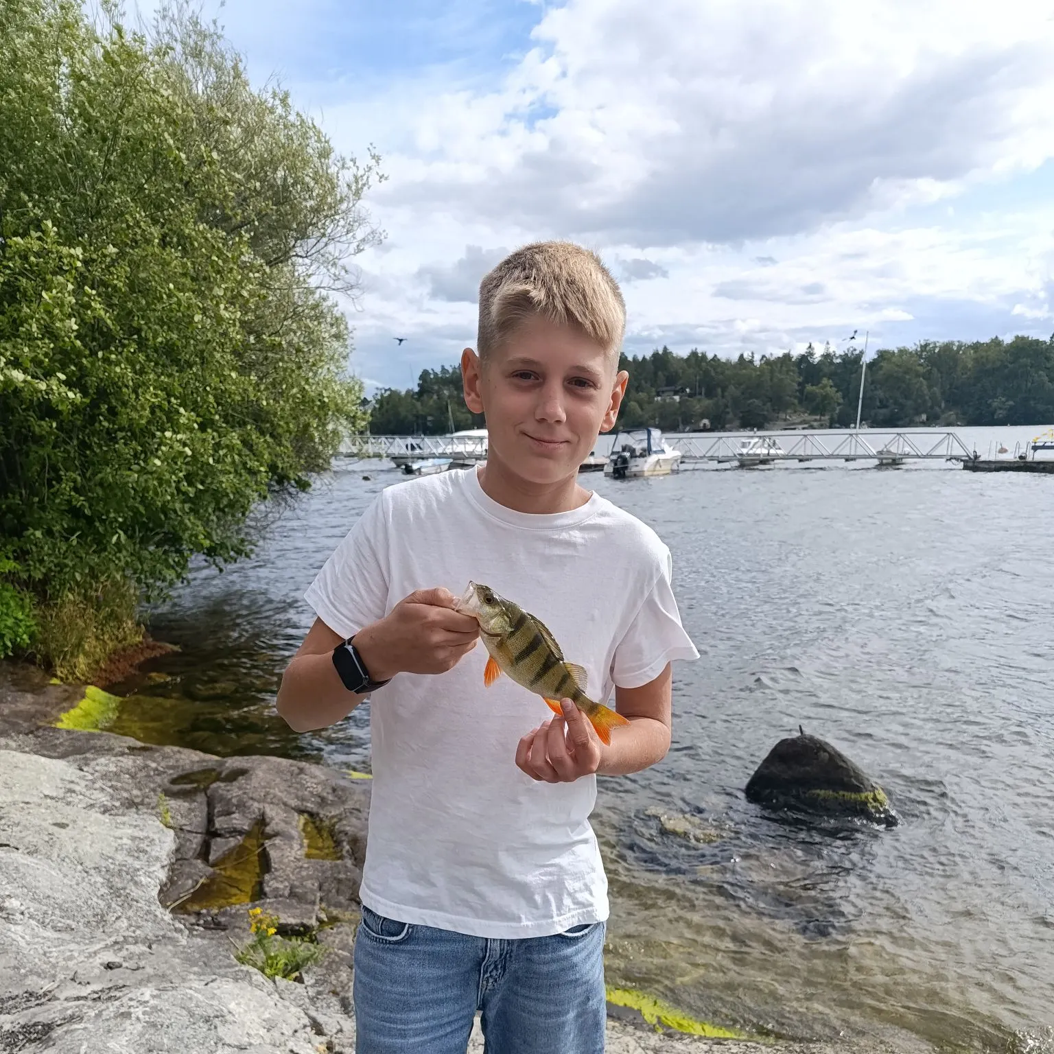 European perch caught on Fishbrain