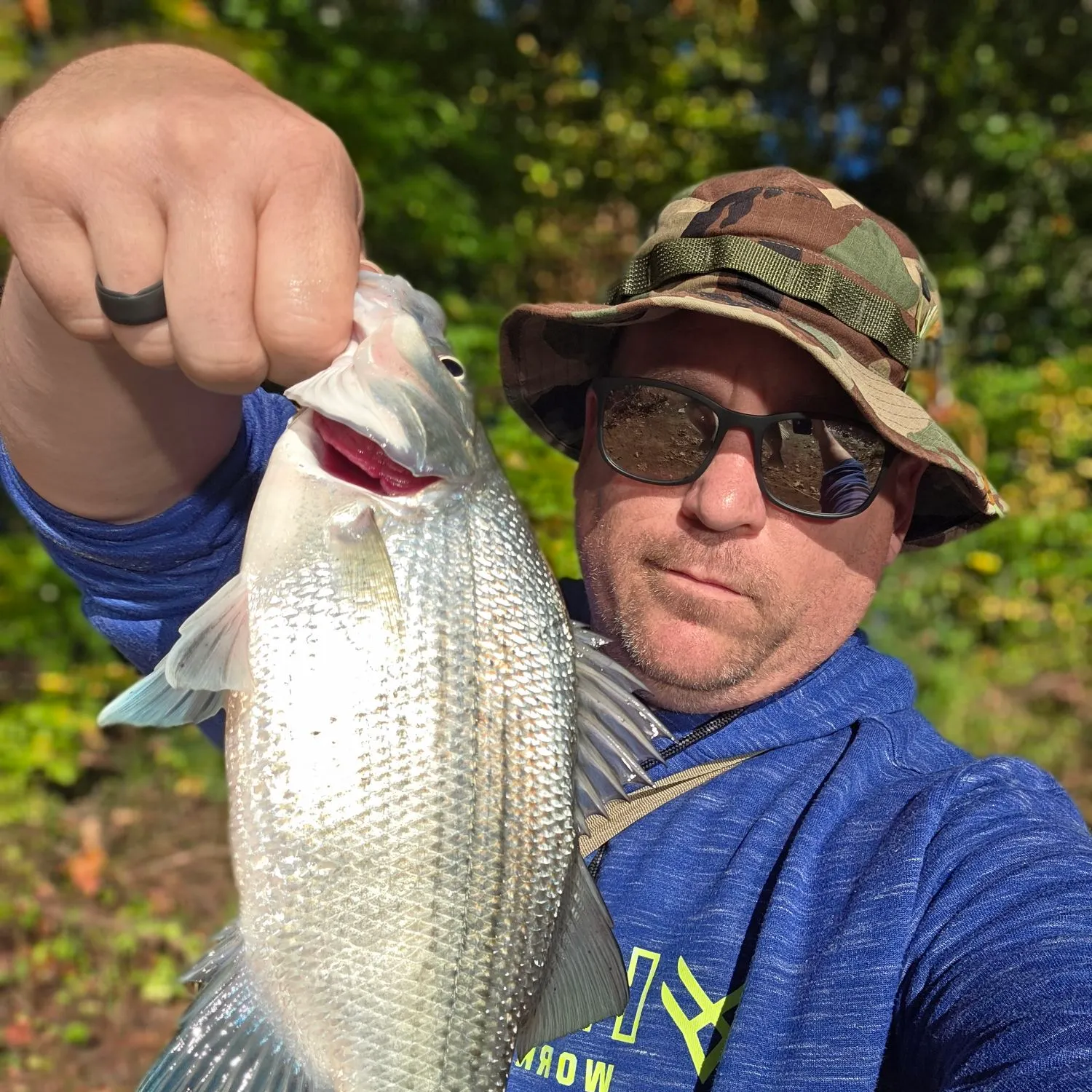 Wiper caught on Fishbrain
