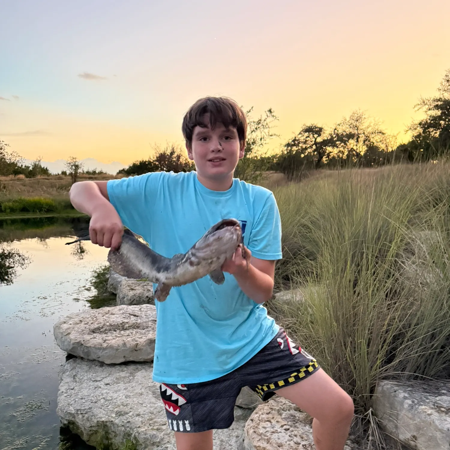 Channel catfish caught on Fishbrain
