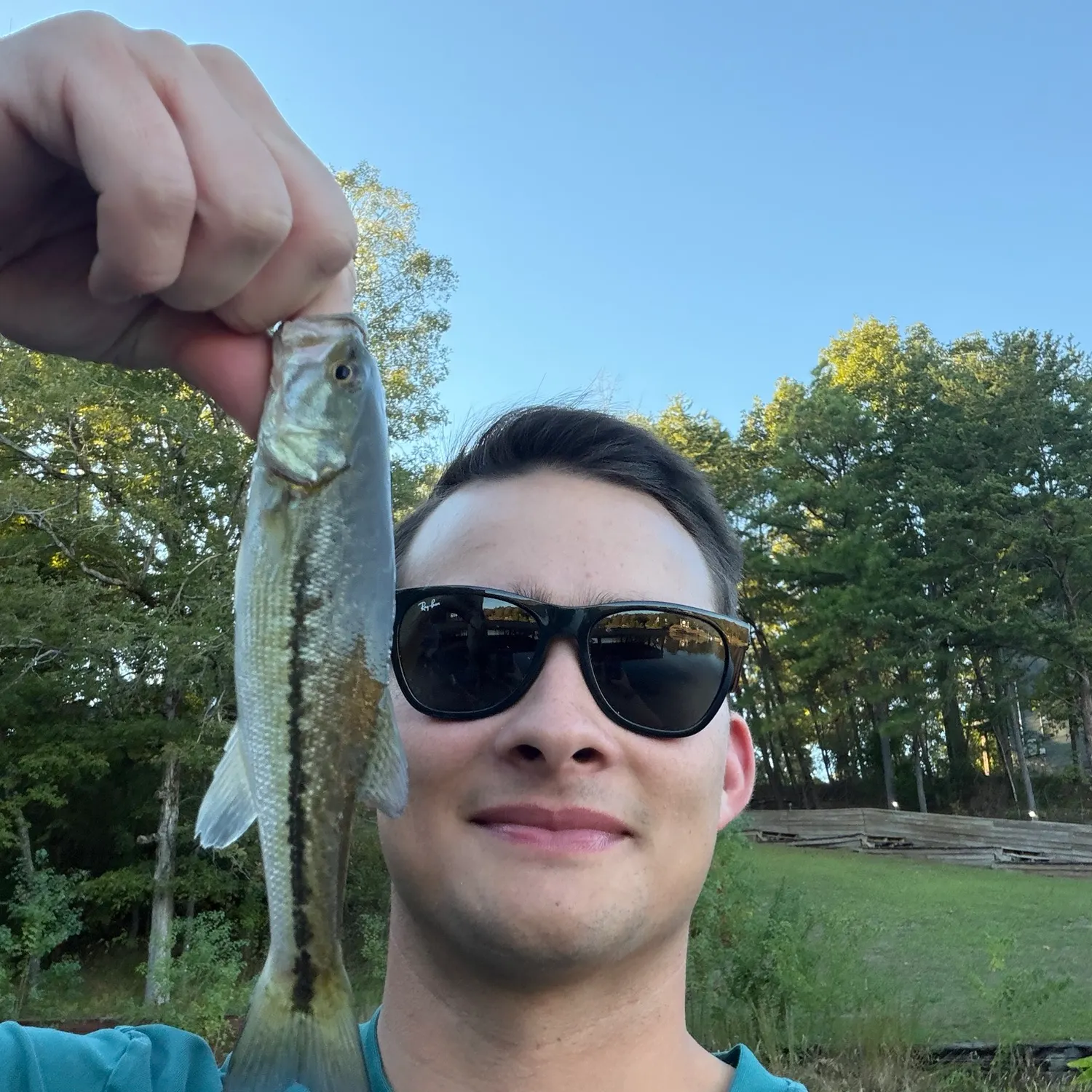 Spotted bass caught on Fishbrain