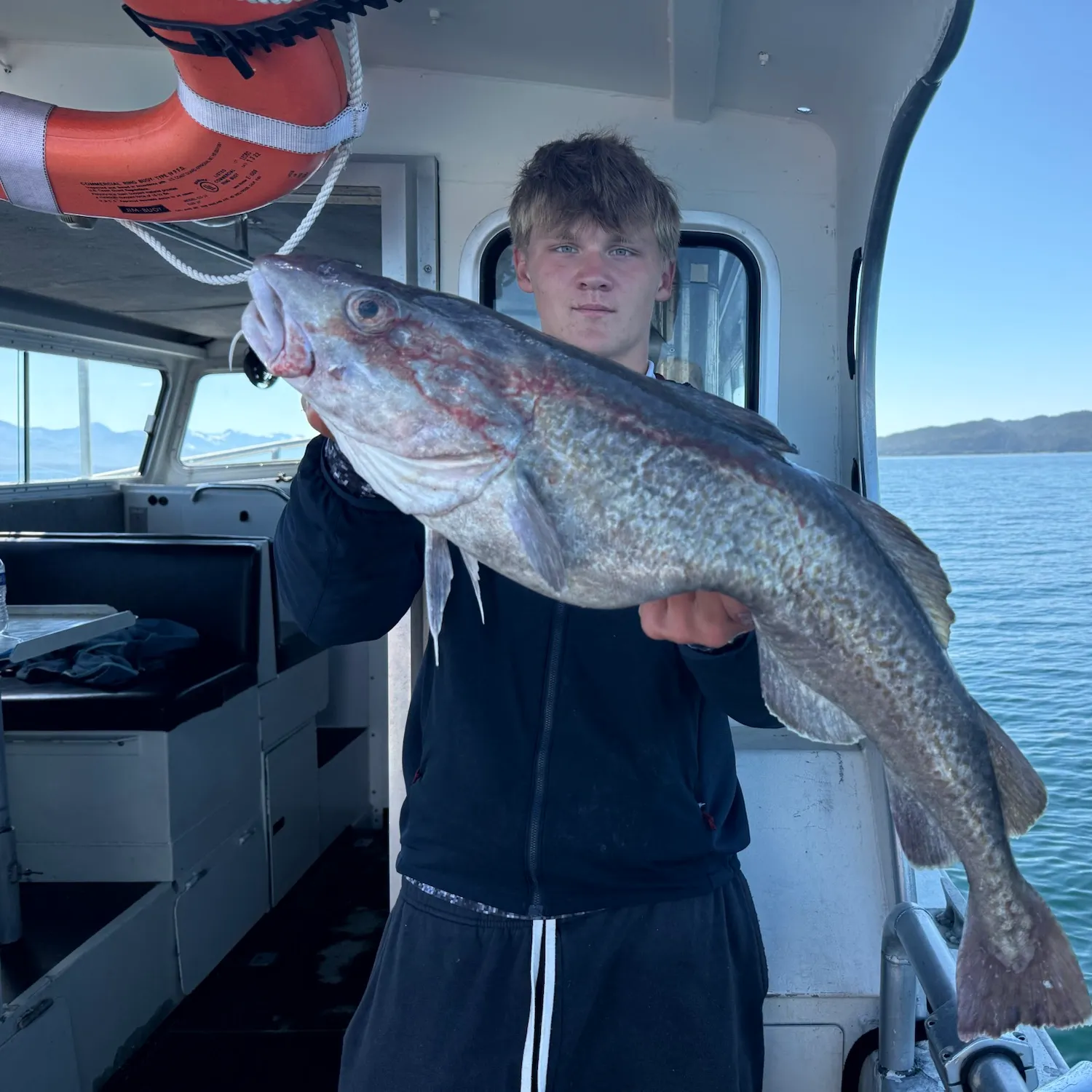 The most recent Pacific cod catches on Fishbrain