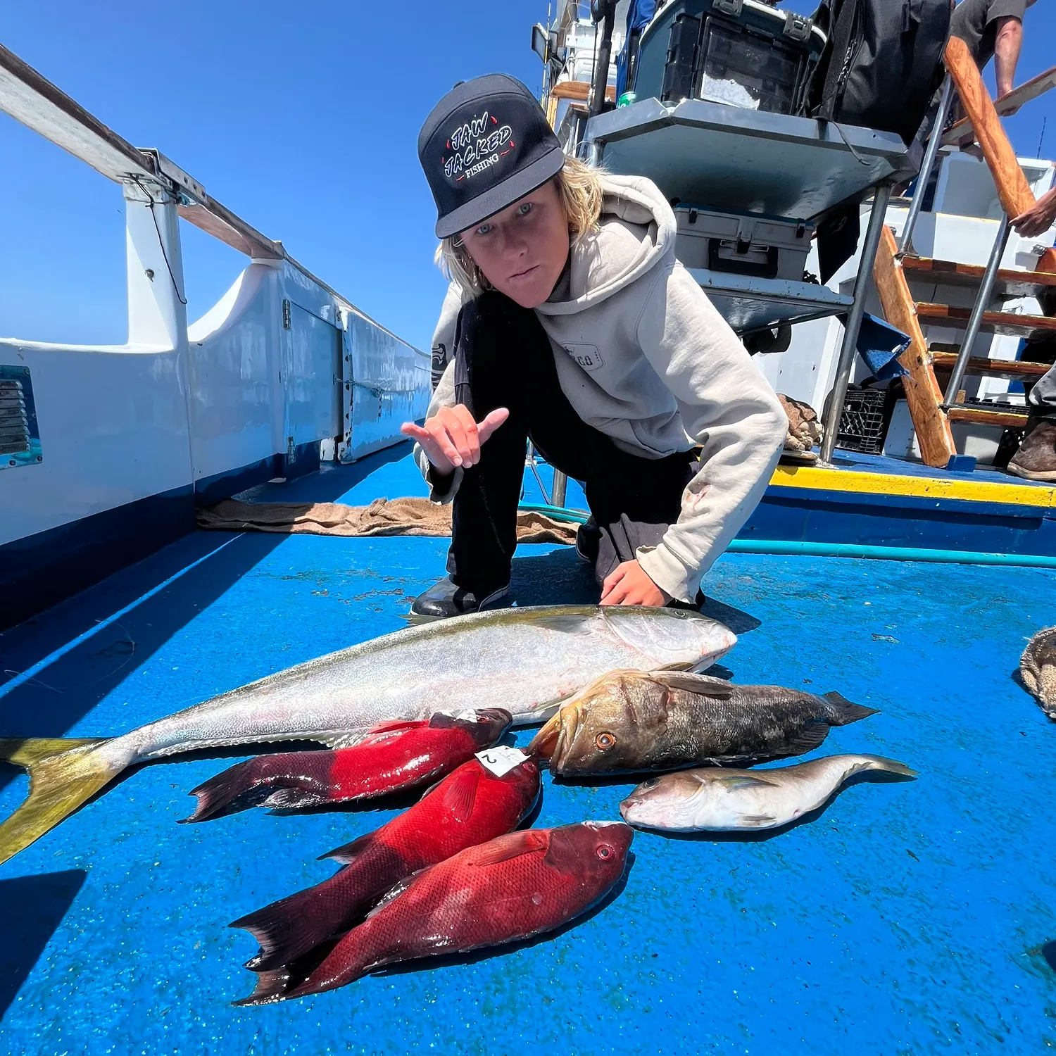 The most recent California sheephead catches on Fishbrain