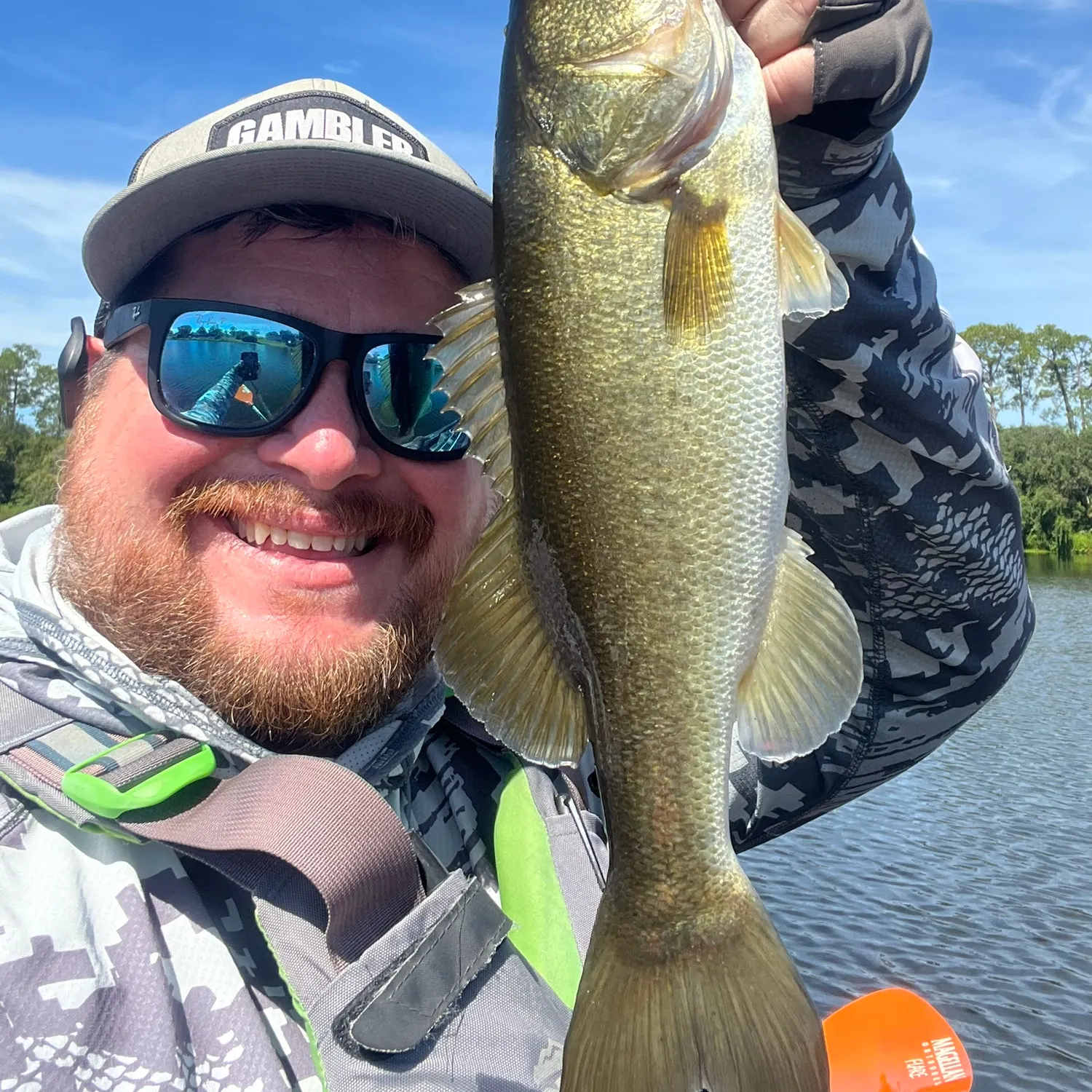 Largemouth bass caught on Fishbrain