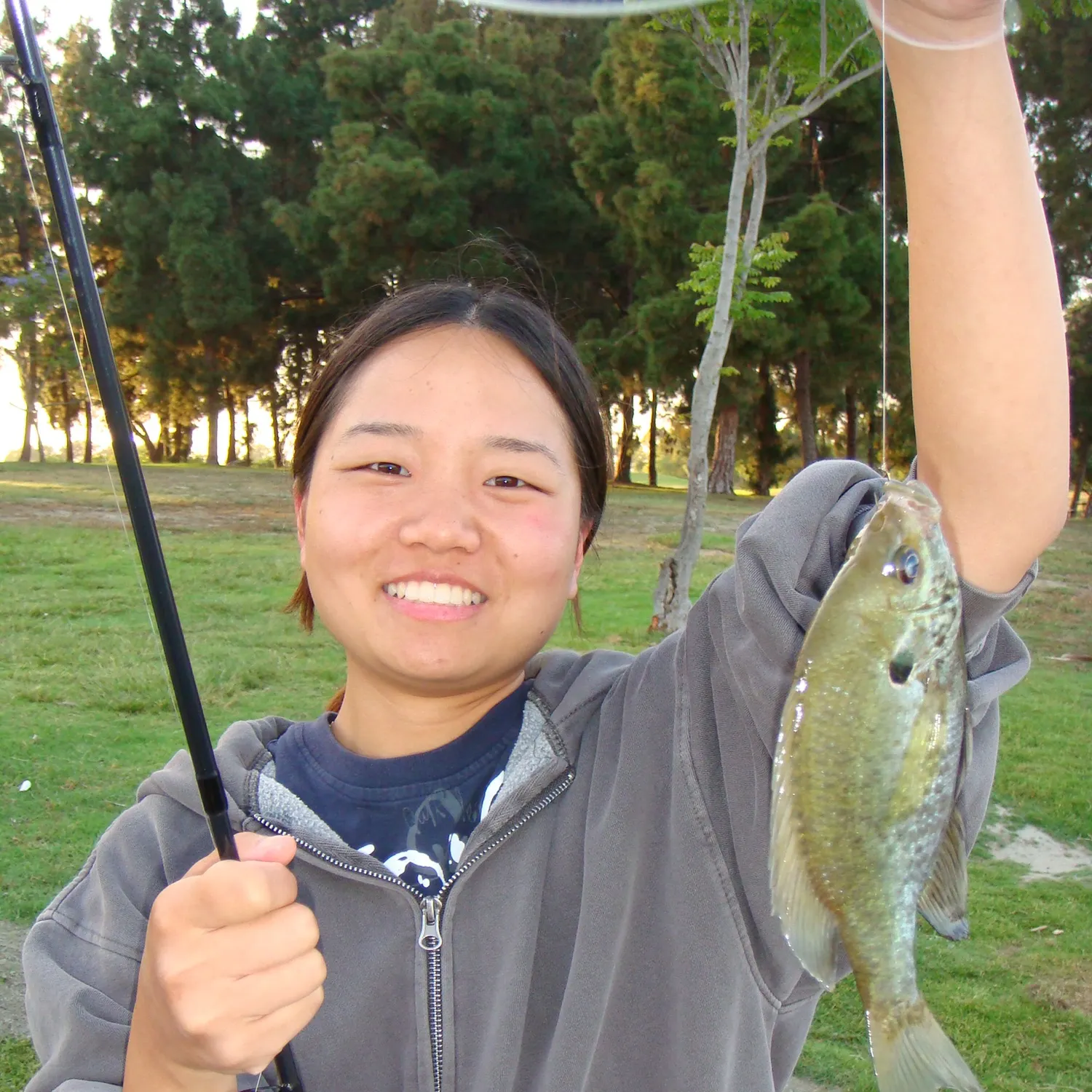 The most recent Bluegill catches on Fishbrain