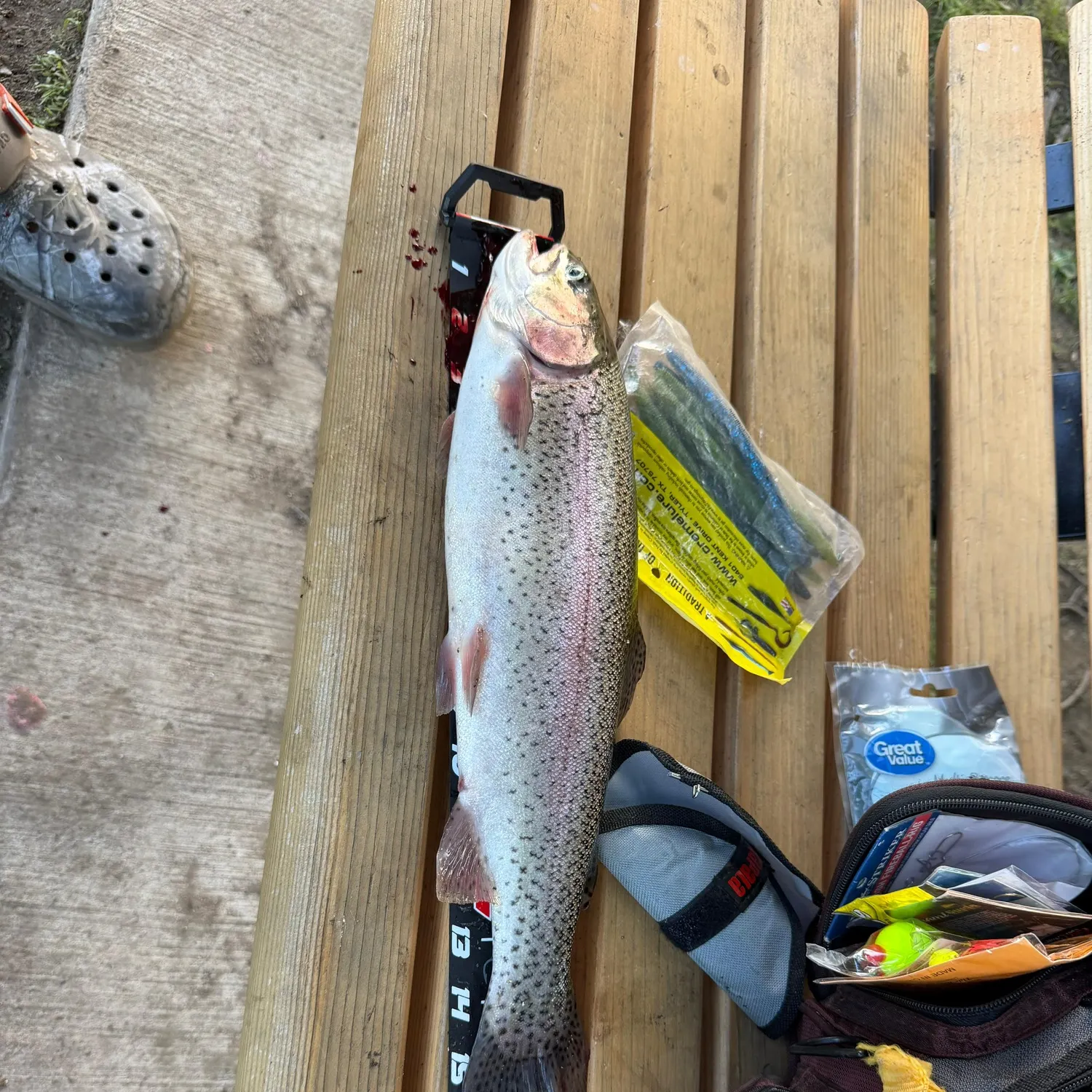 catch