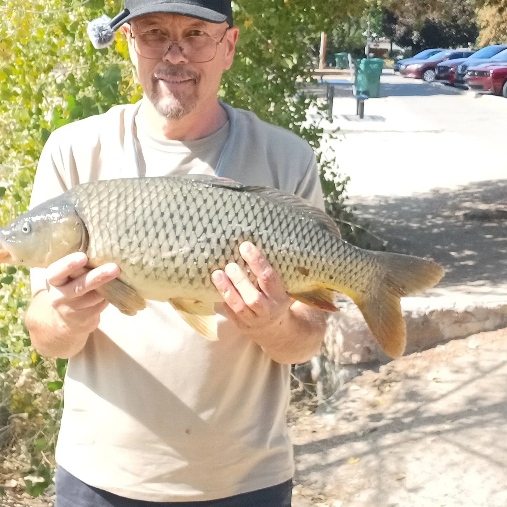 Common carp caught on Fishbrain