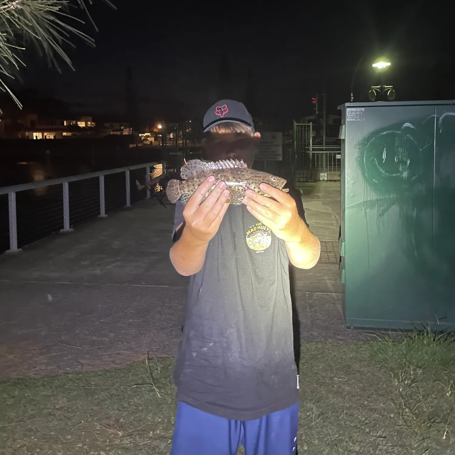 The most recent Malabar grouper catches on Fishbrain