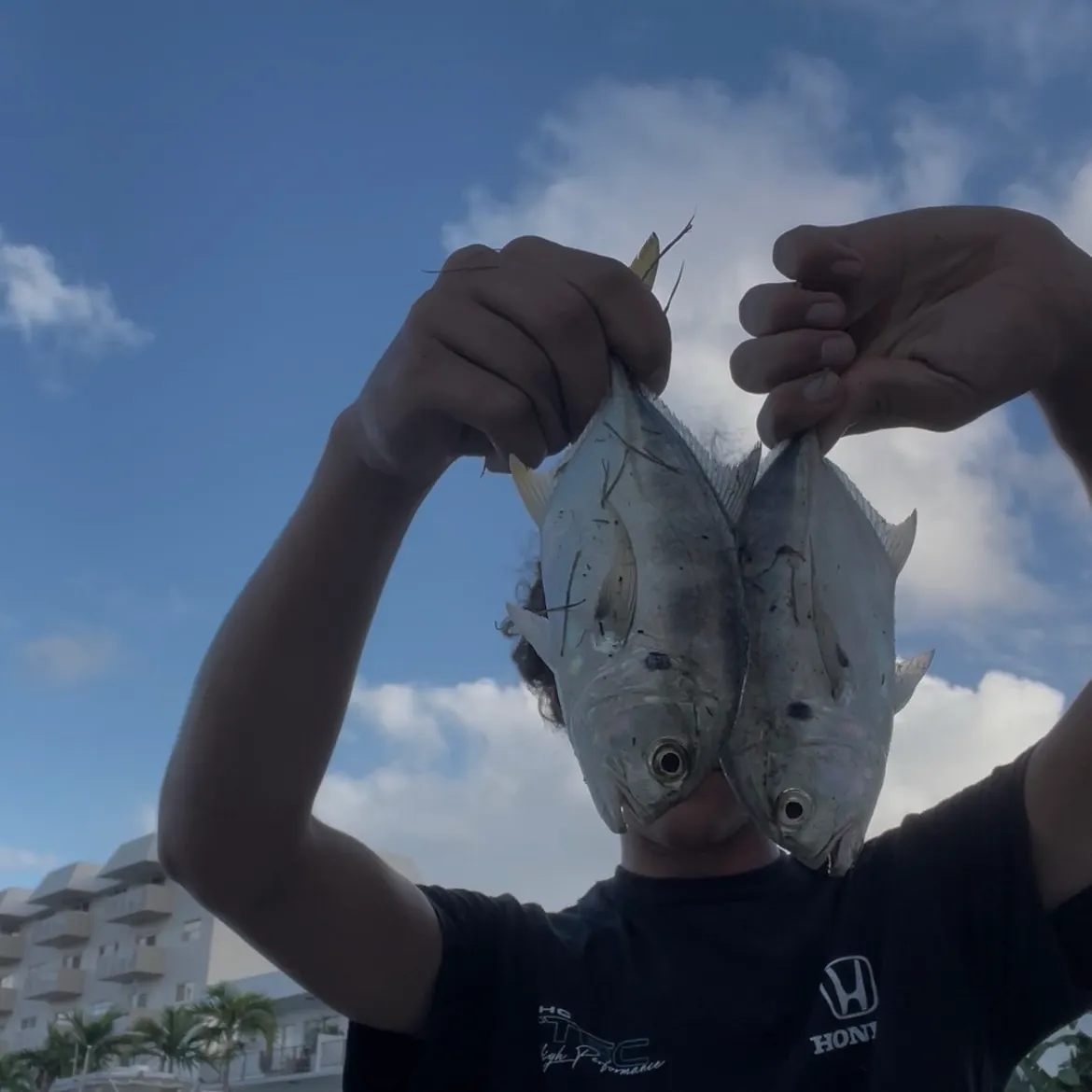 Crevalle jack caught on Fishbrain