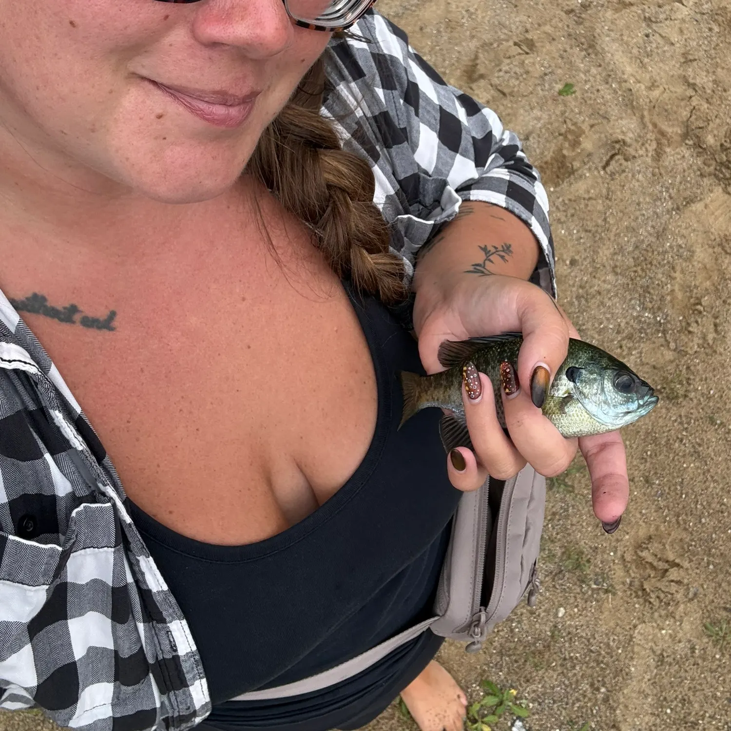 Bluegill caught on Fishbrain
