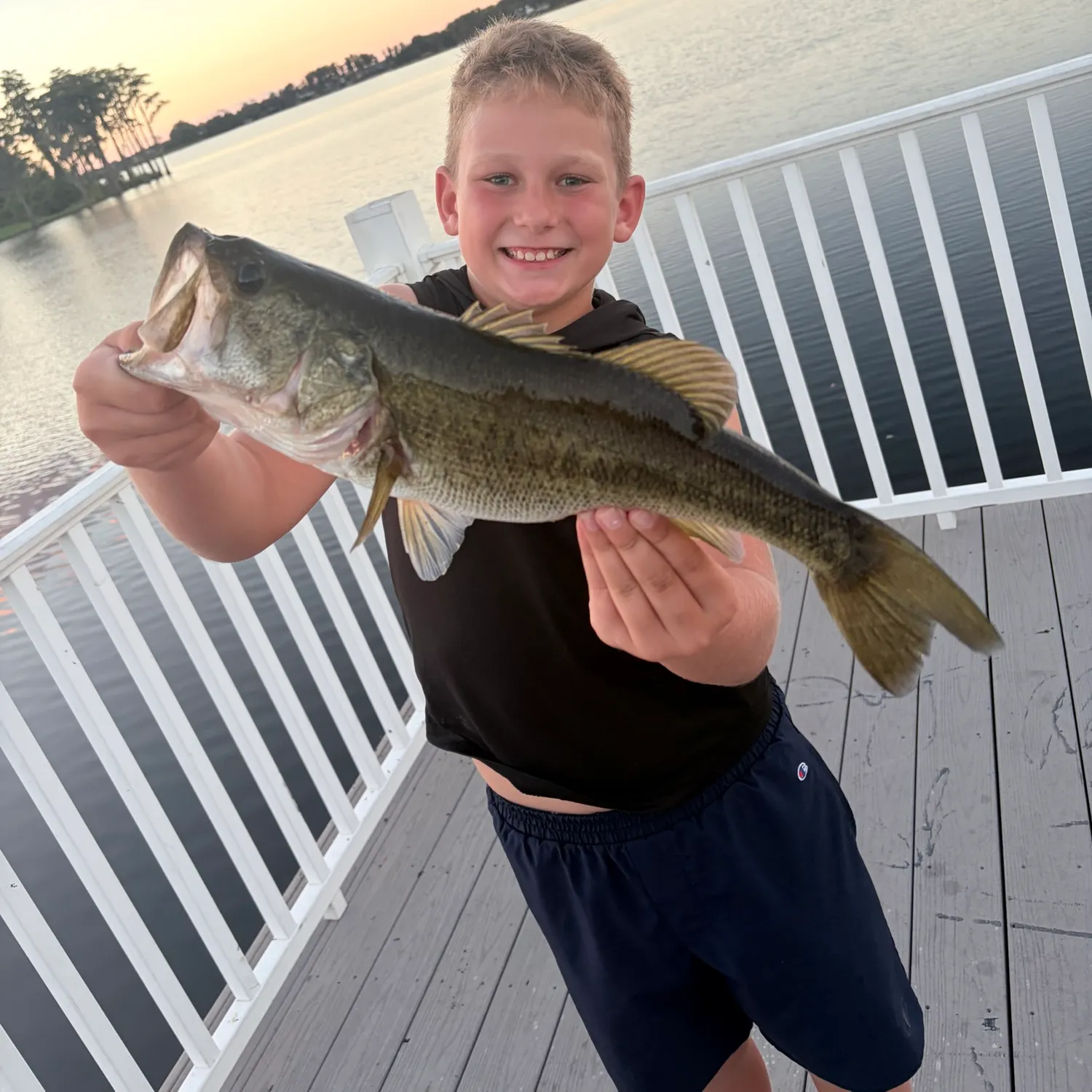 Largemouth bass caught on Fishbrain