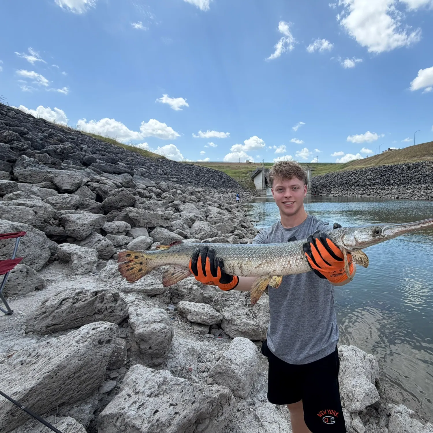 The most recent Longnose gar catches on Fishbrain