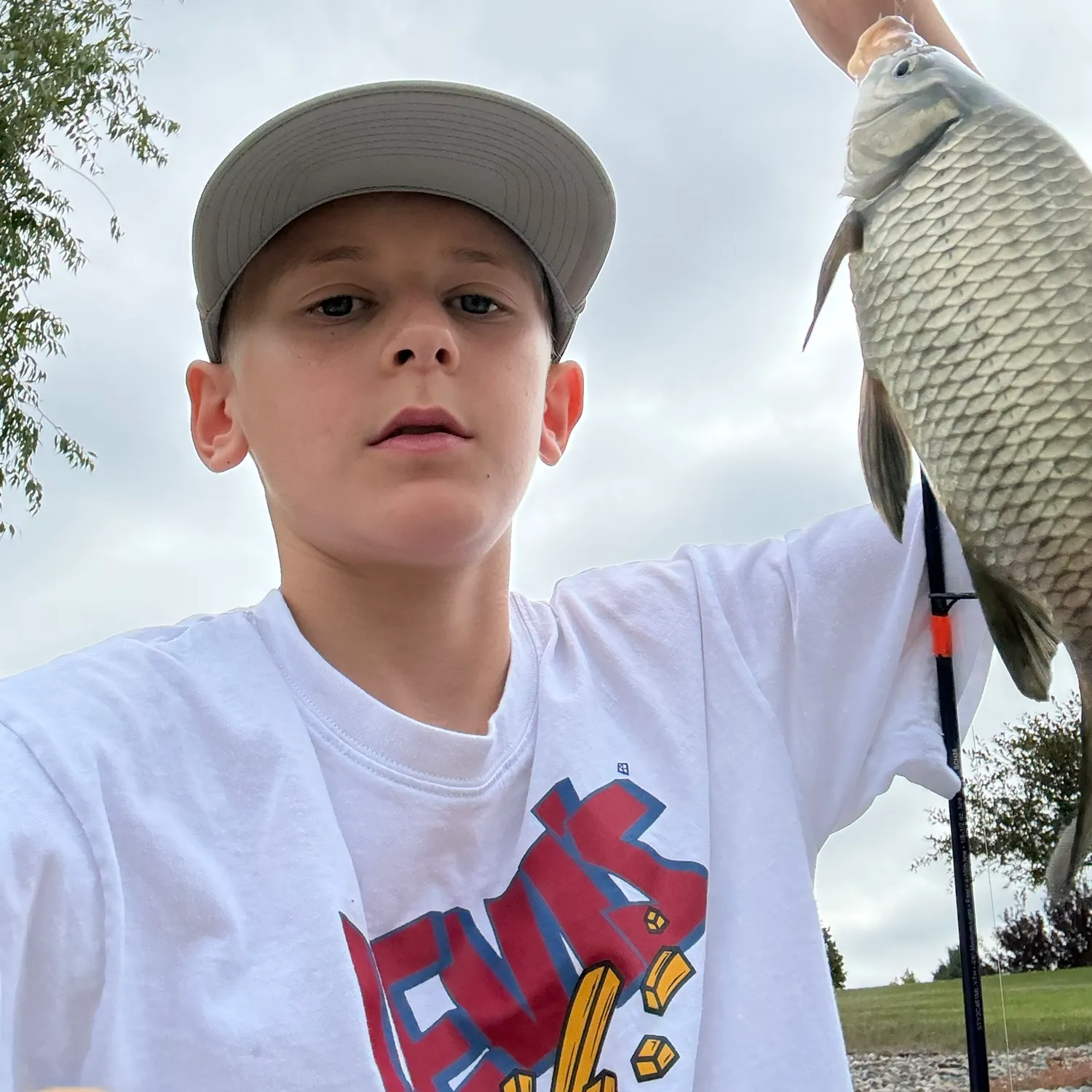 Common carp caught on Fishbrain