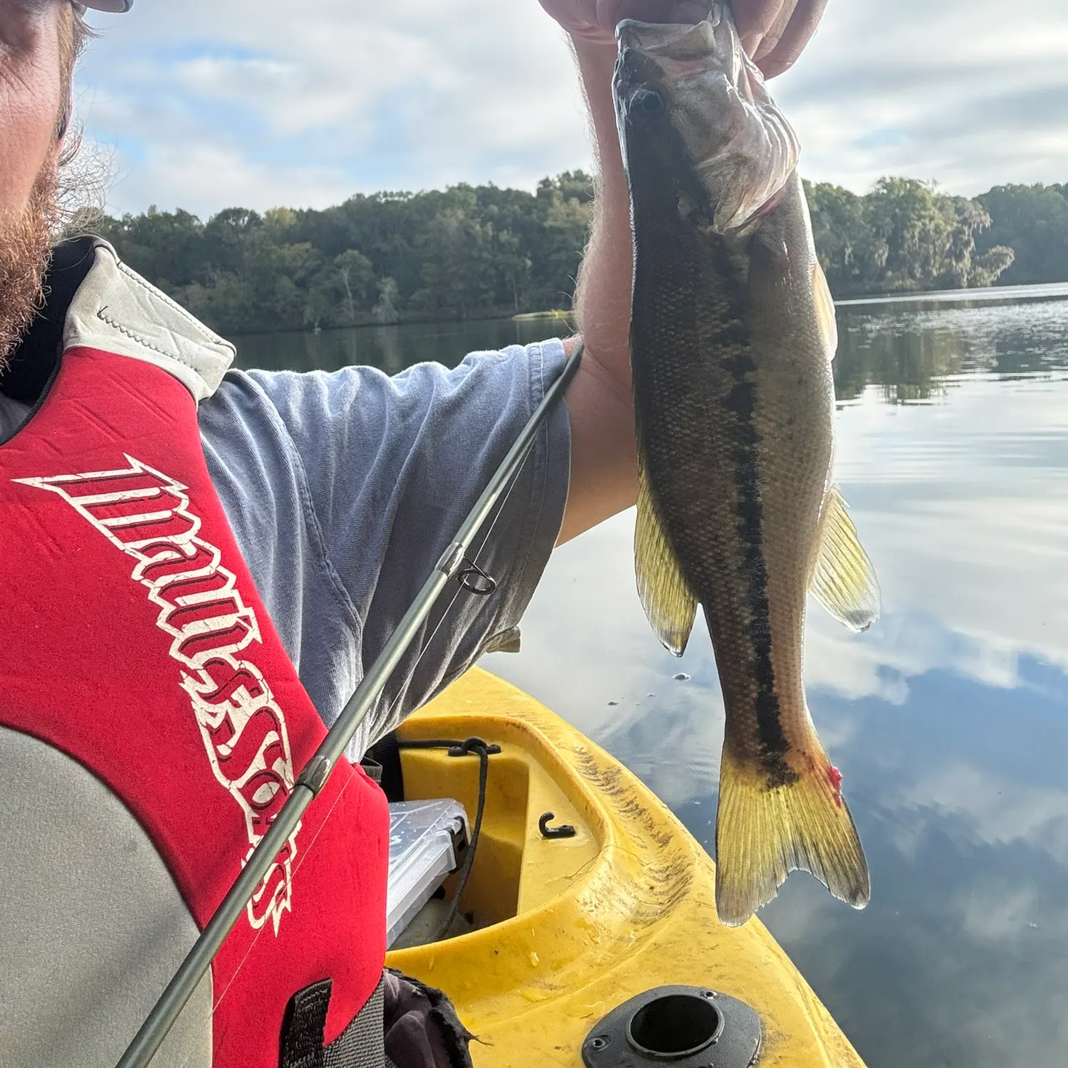 Spotted bass caught on Fishbrain