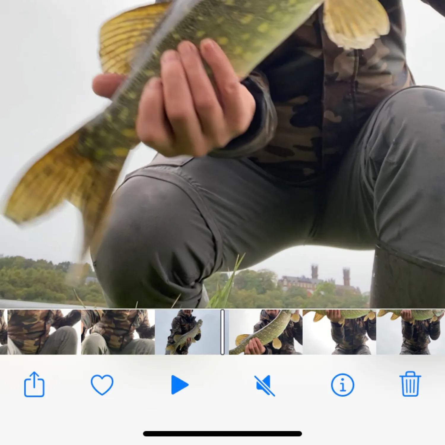 recently logged catches