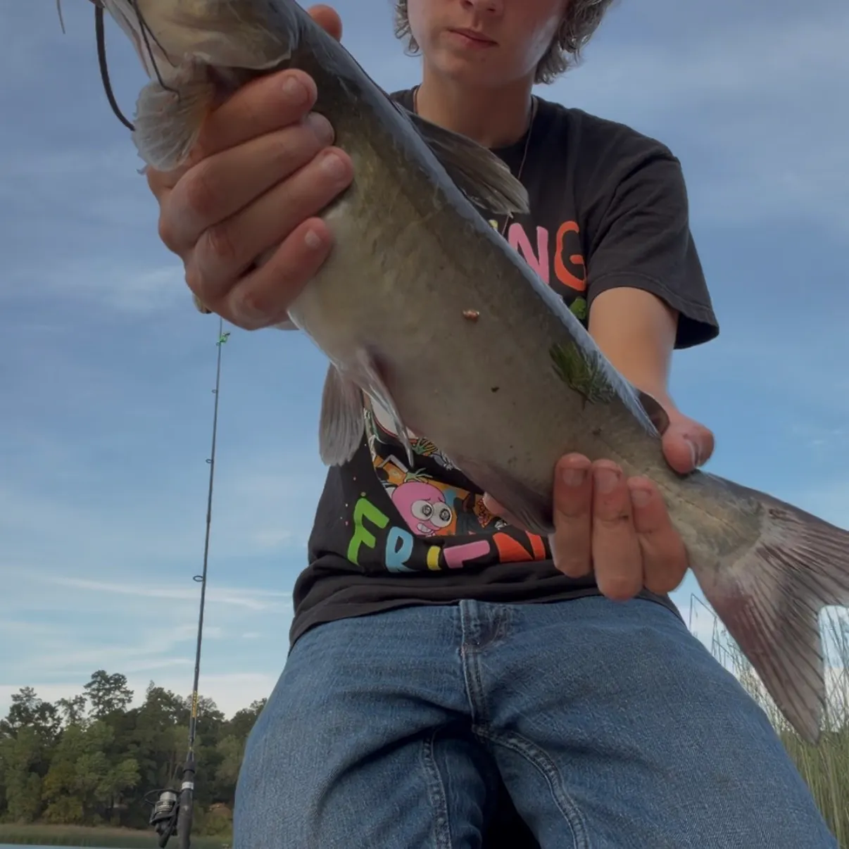 Channel catfish caught on Fishbrain