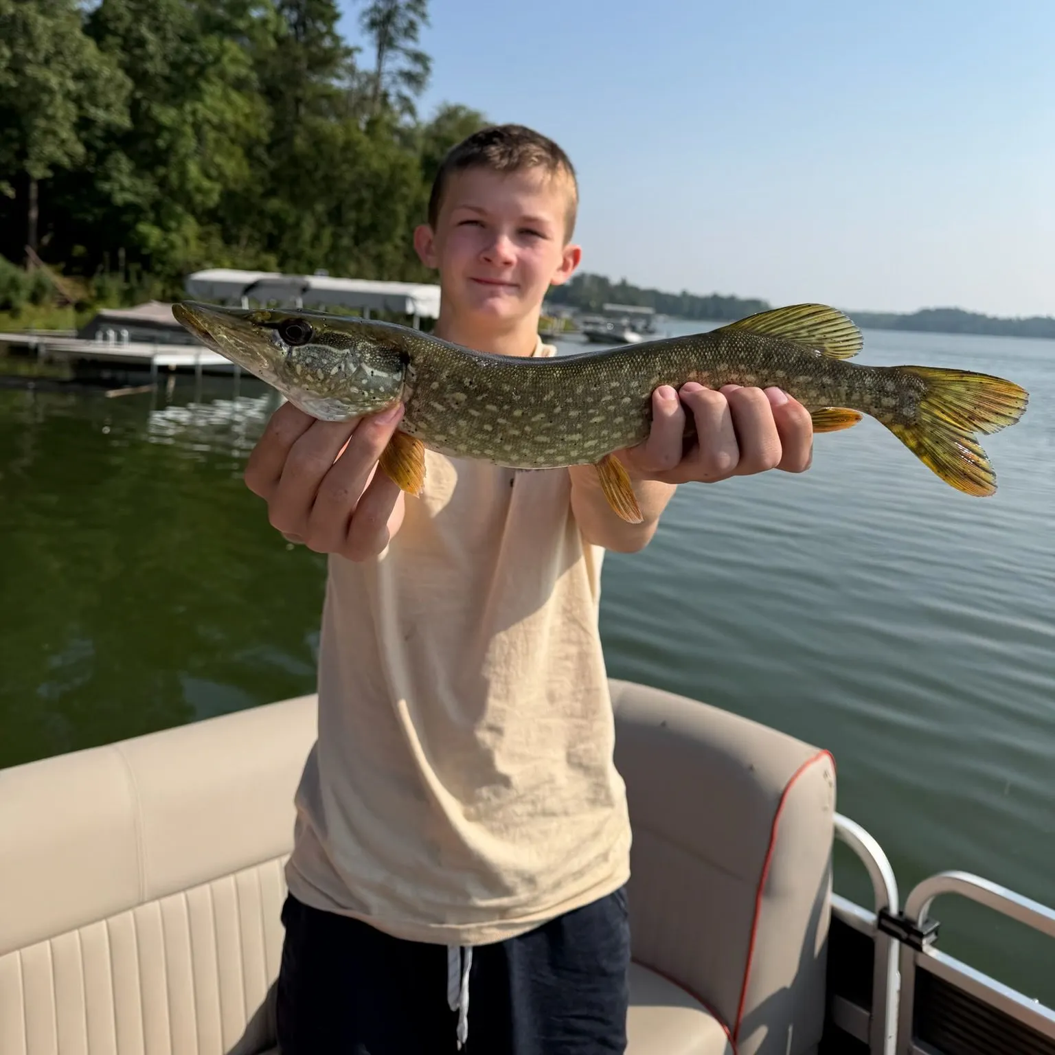 Northern pike caught on Fishbrain