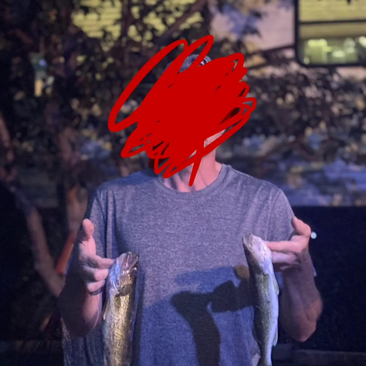 Walleye caught on Fishbrain