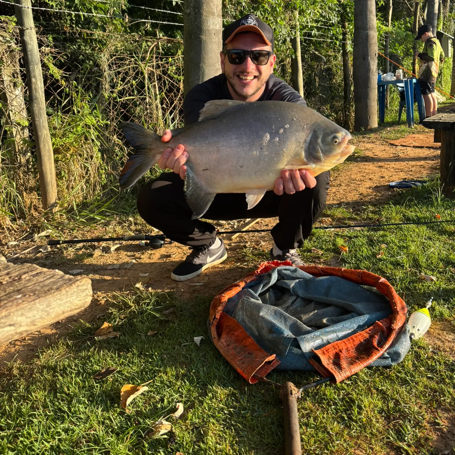 Black pacu caught on Fishbrain