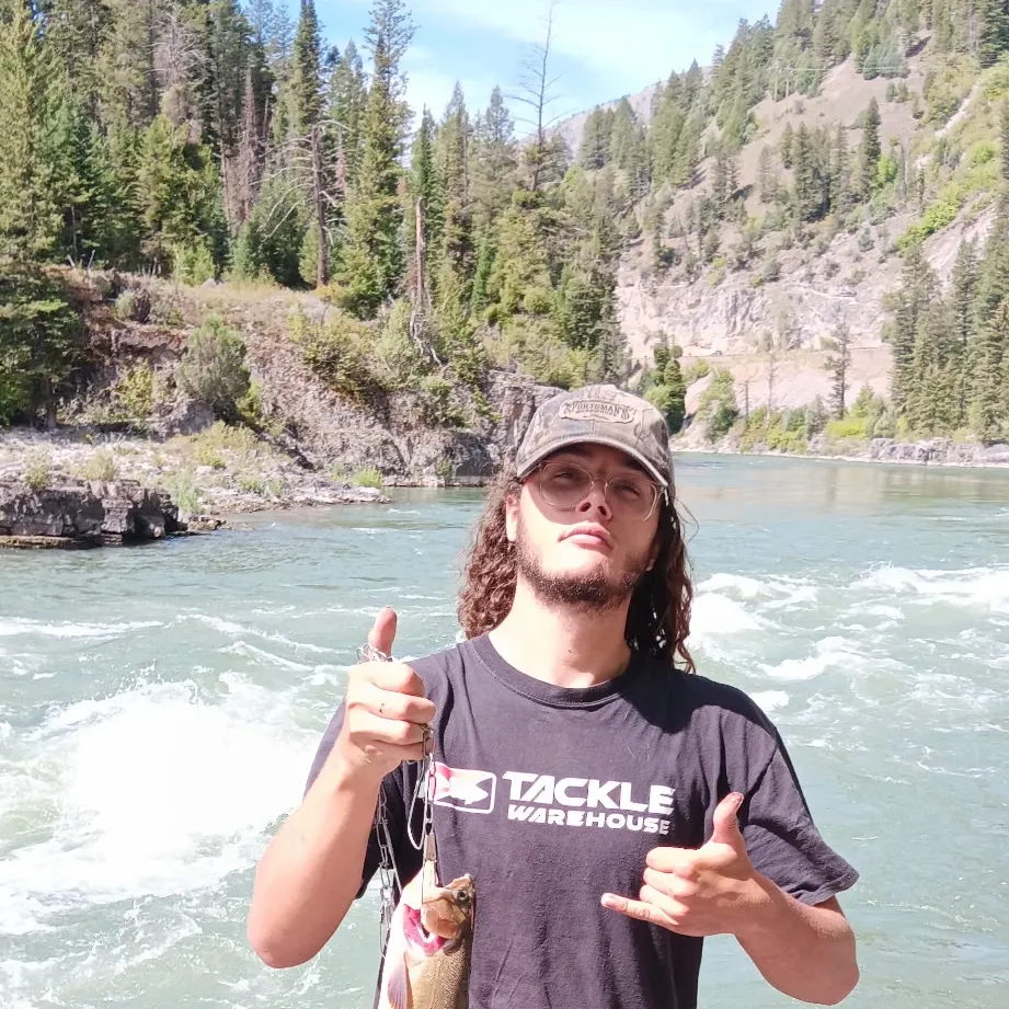 The most recent Snake River fine-spotted cutthroat trout catches on Fishbrain