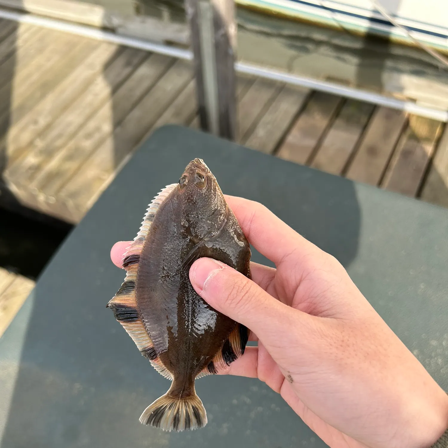 most liked catch image