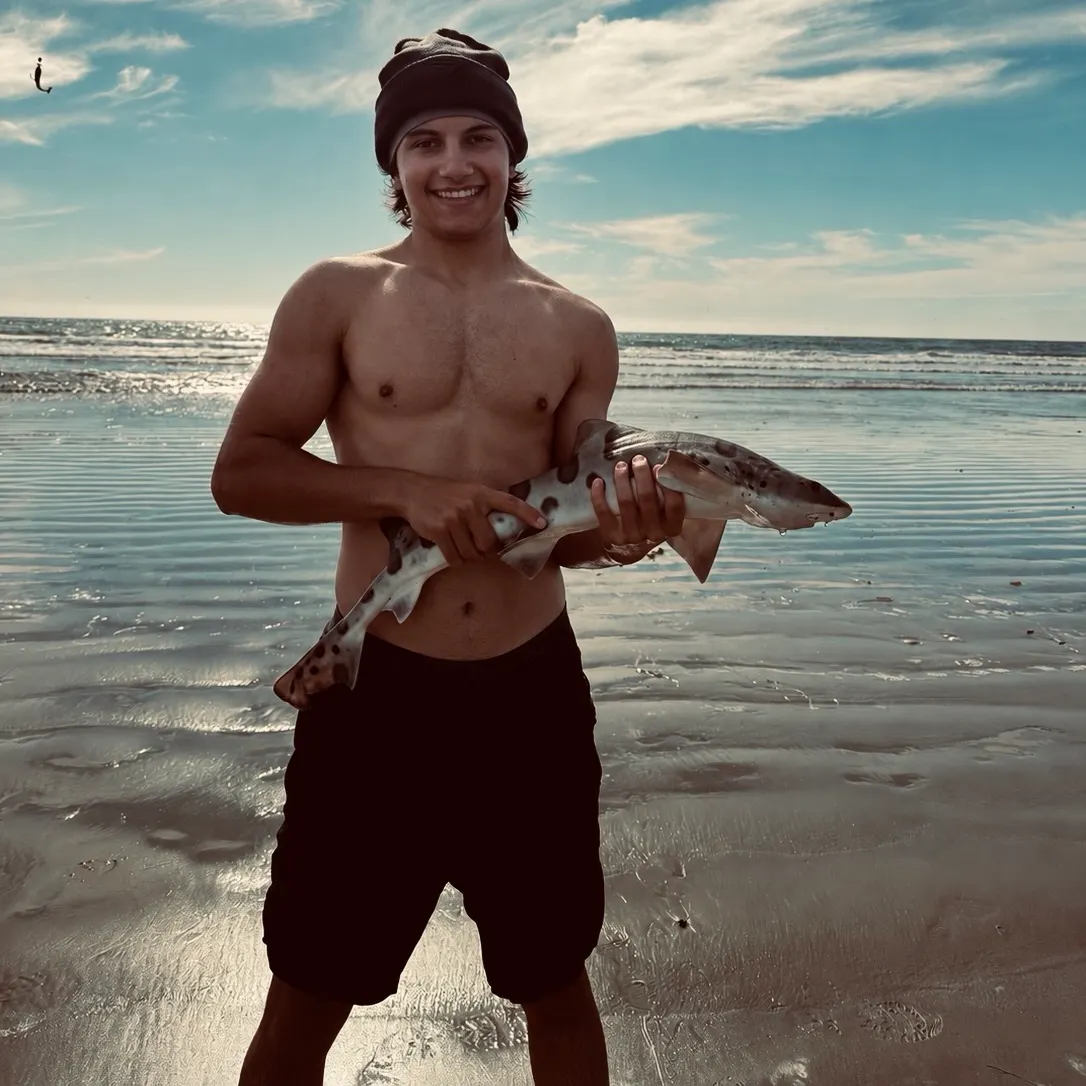Leopard shark caught on Fishbrain