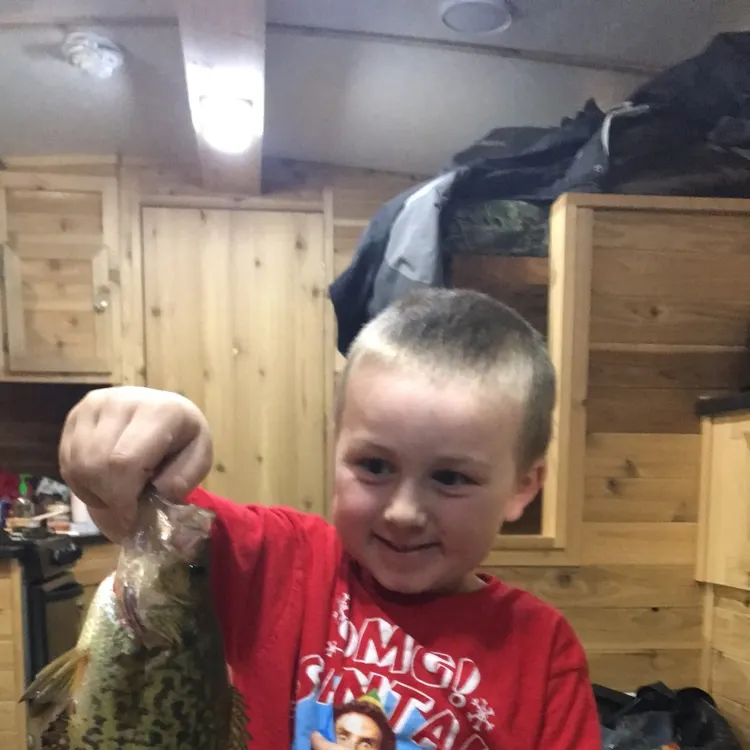 Black crappie caught on Fishbrain