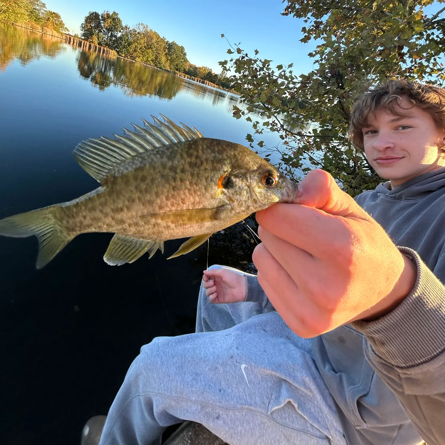 Redear sunfish caught on Fishbrain
