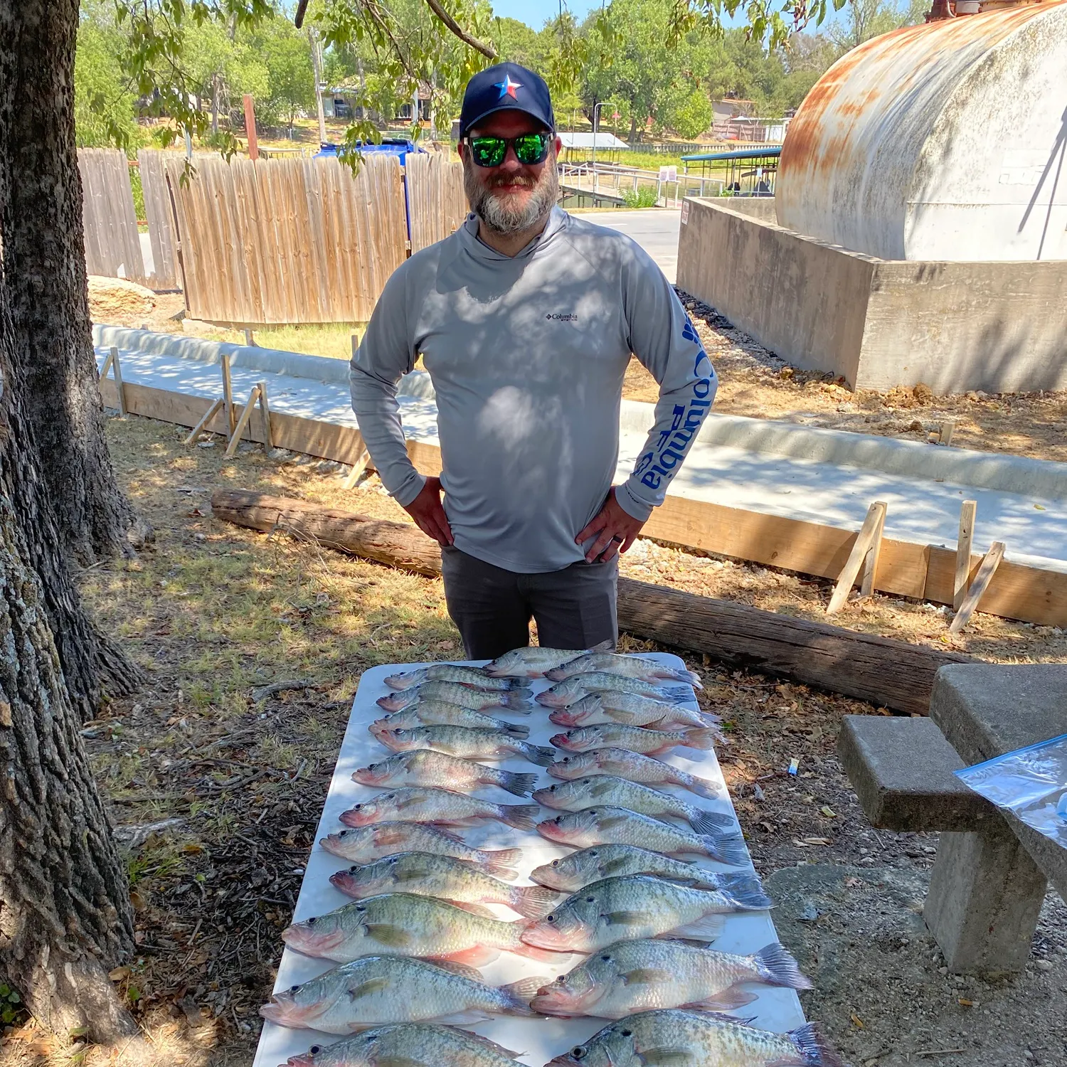 White crappie caught on Fishbrain