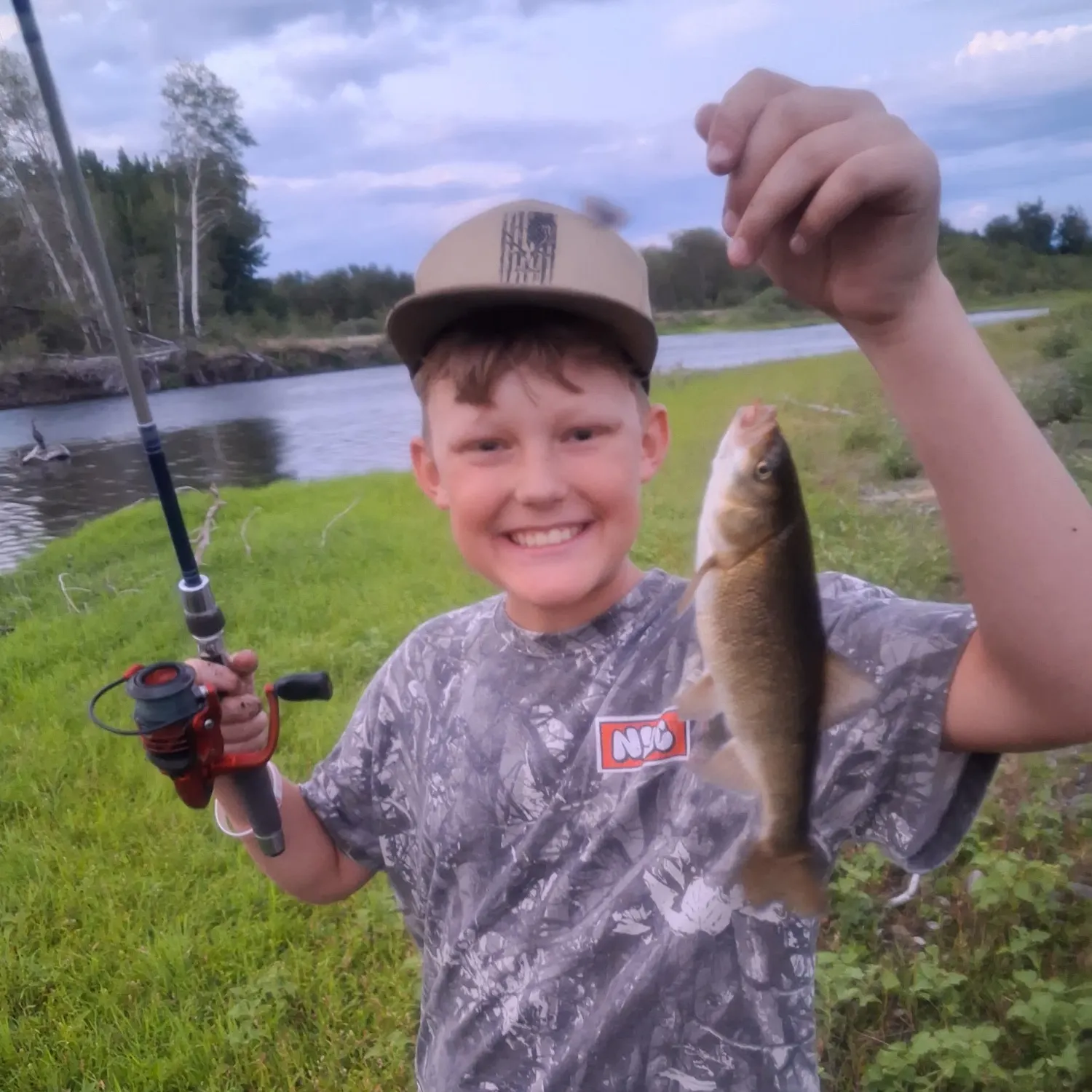 The most recent Eastern creek chubsucker catches on Fishbrain