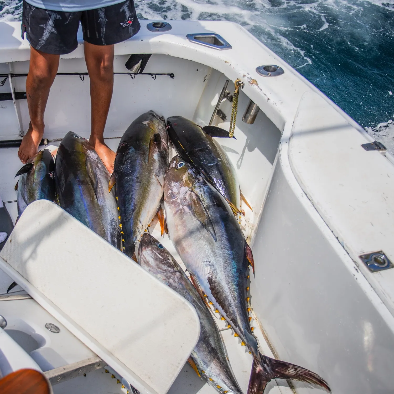 The most recent Yellowfin tuna catches on Fishbrain