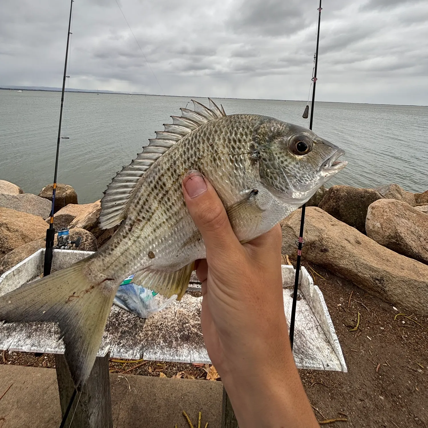 catch