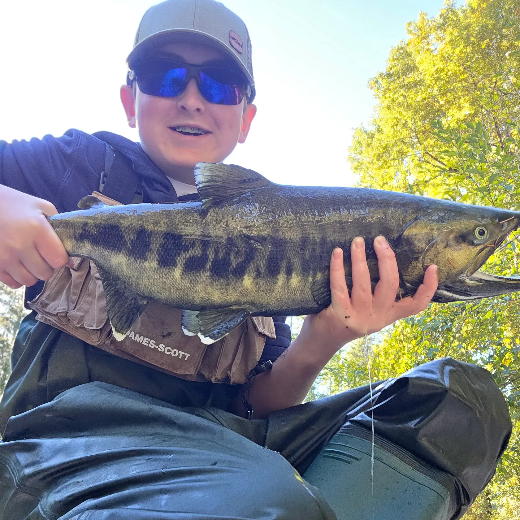 Chum salmon caught on Fishbrain