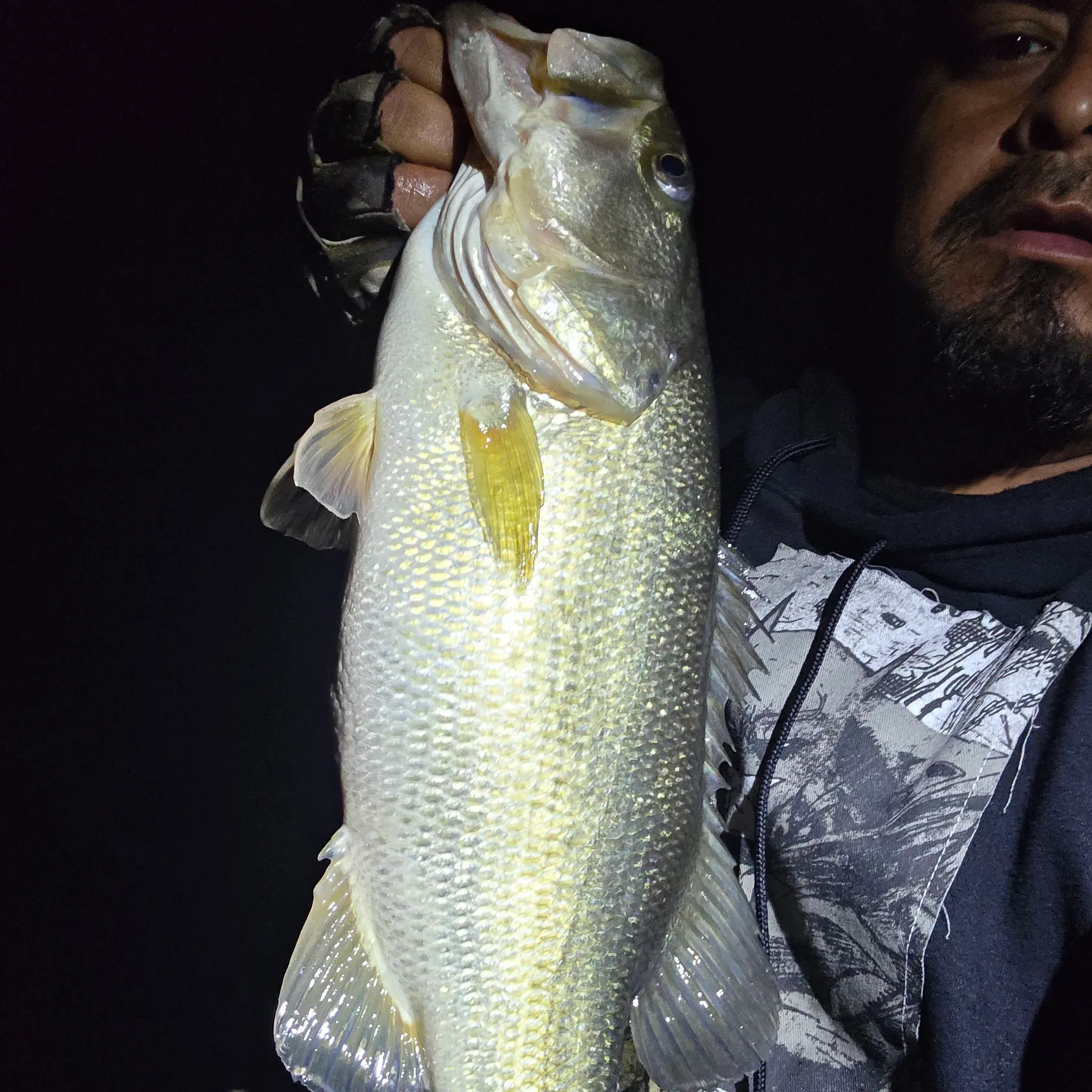 Largemouth bass caught on Fishbrain