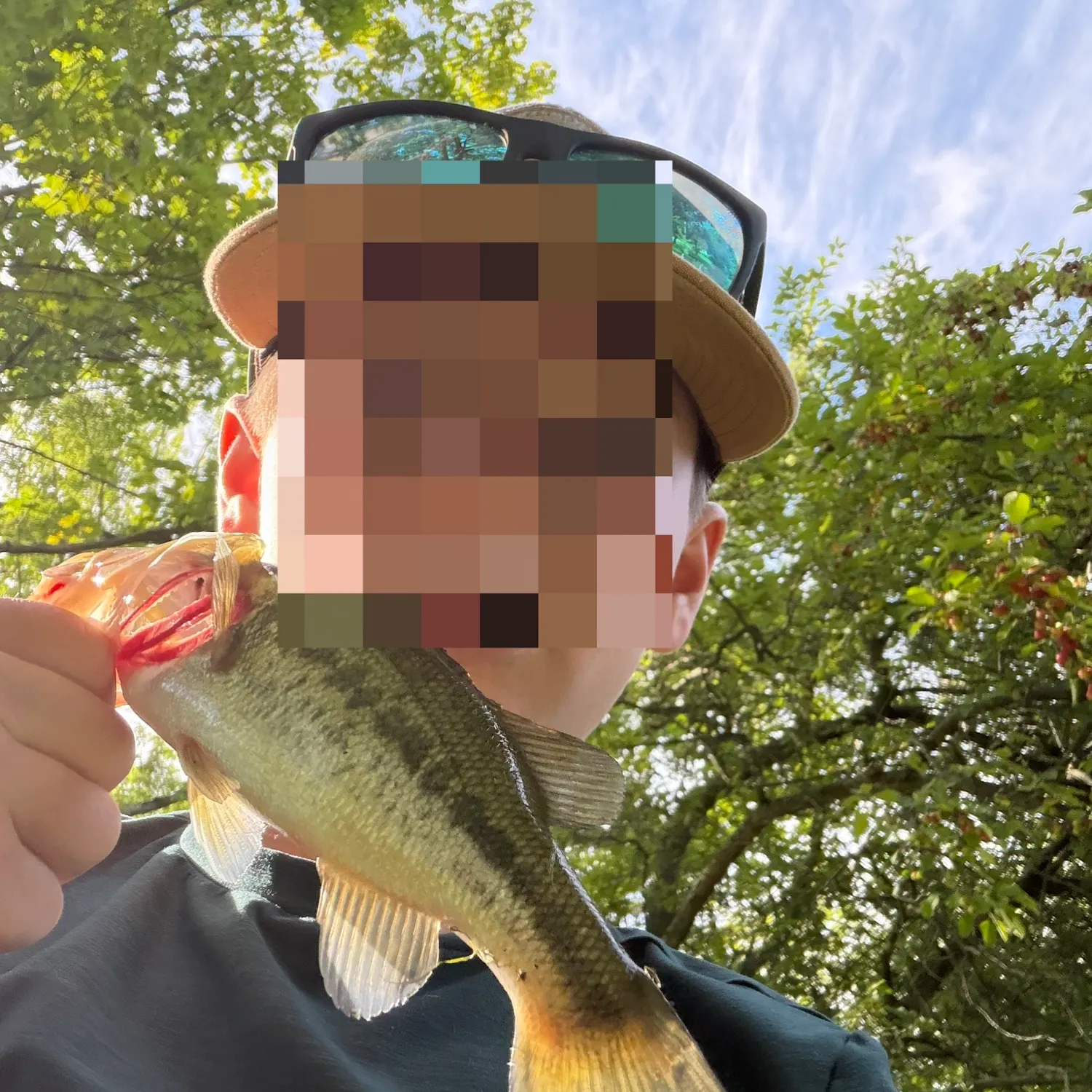 Largemouth bass caught on Fishbrain