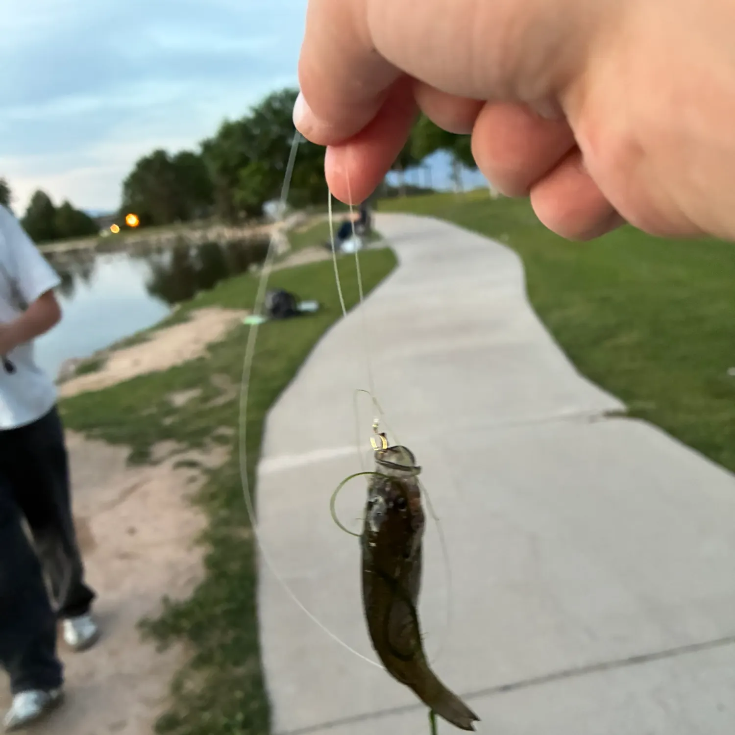 catch